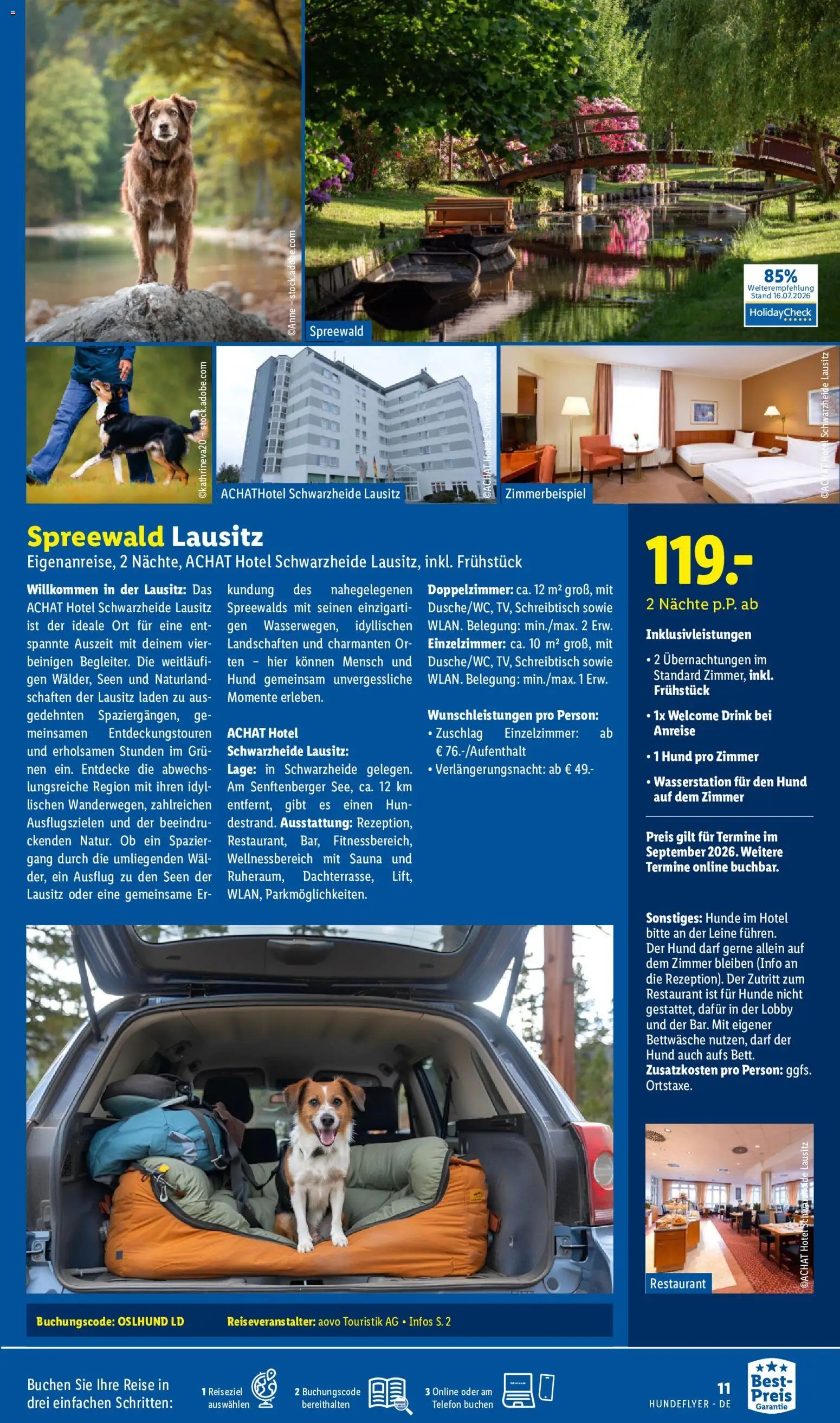 Lidl Reisen Hundeflyer