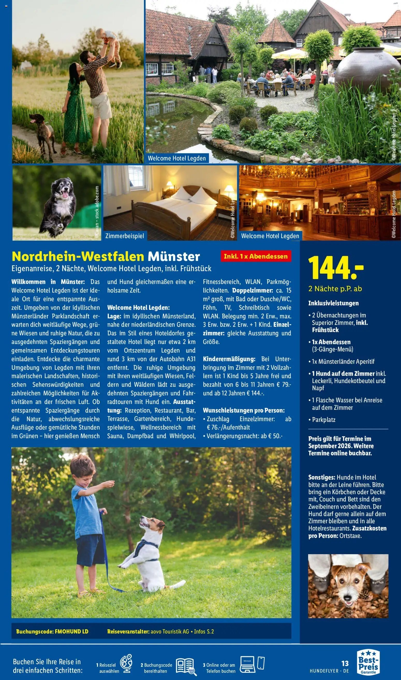 Lidl Reisen Hundeflyer