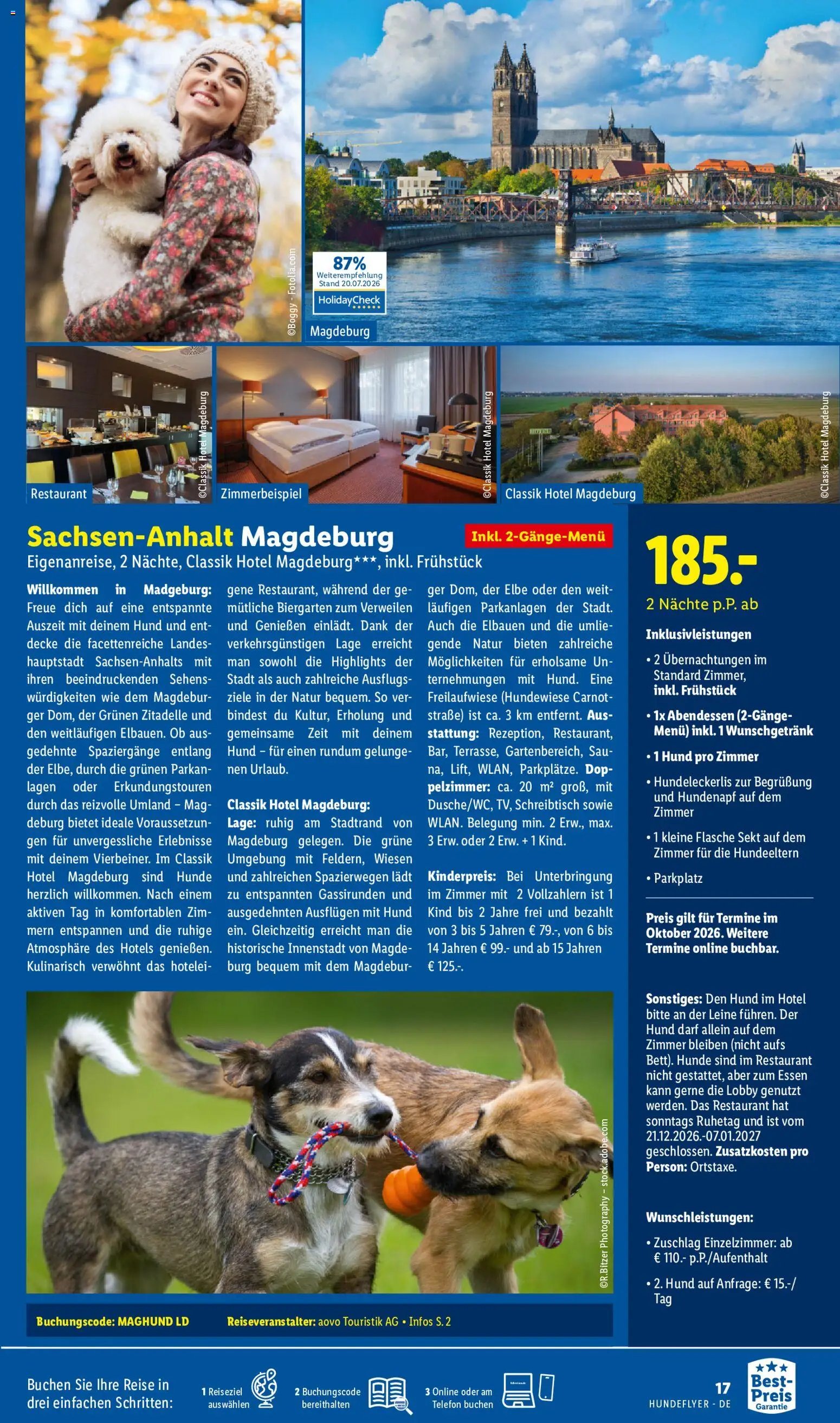 Lidl Reisen Hundeflyer