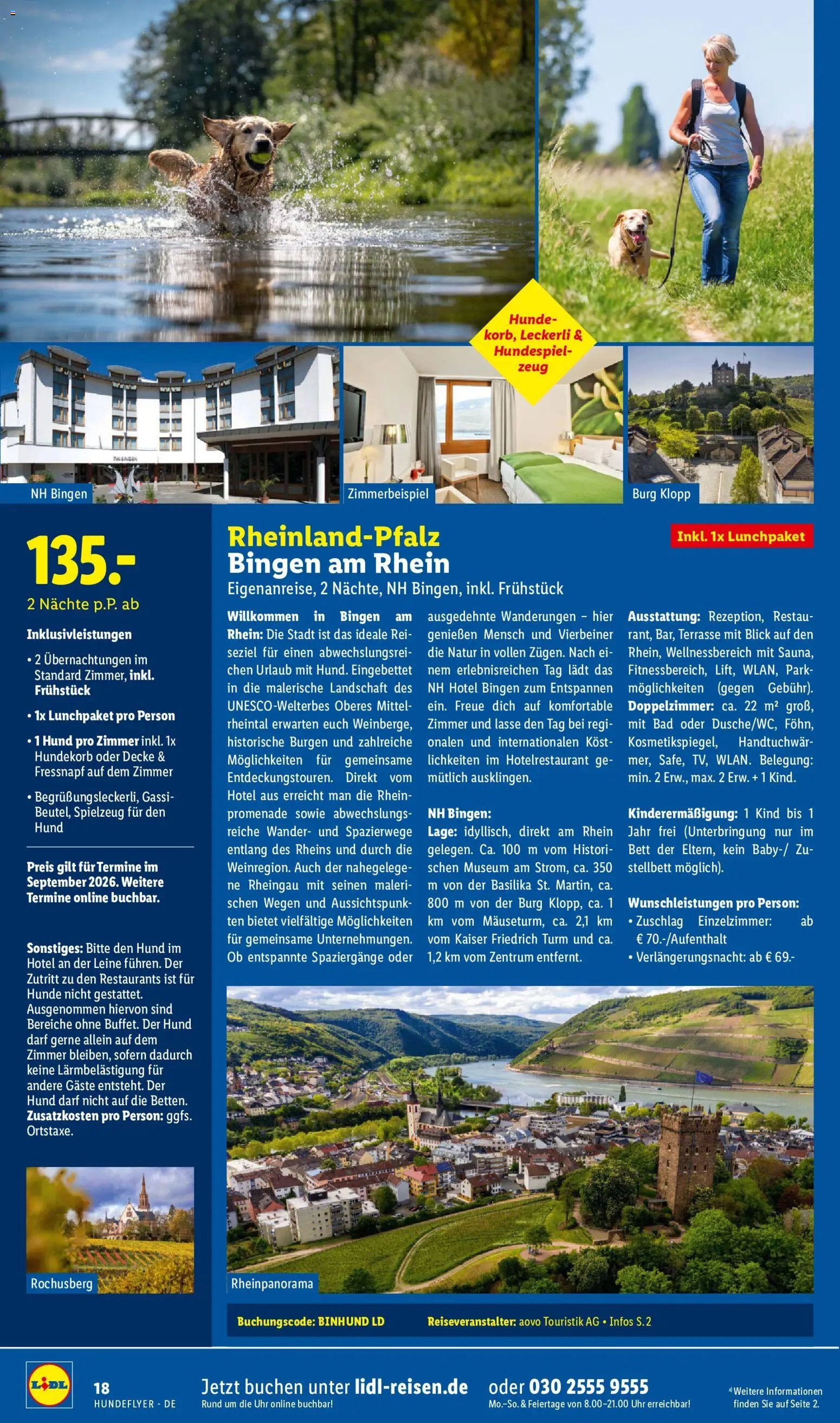 Lidl Reisen Hundeflyer