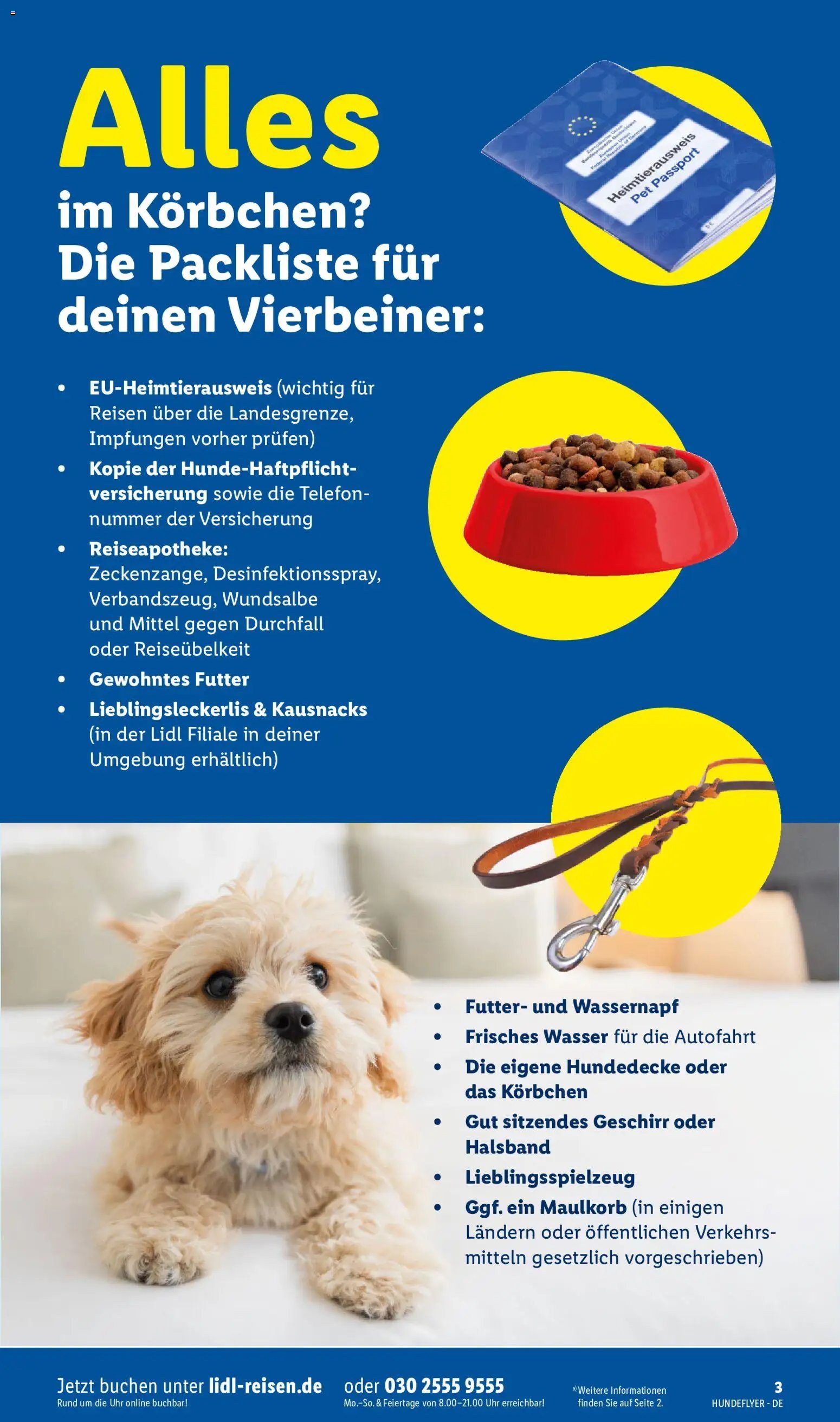 Lidl Reisen Hundeflyer