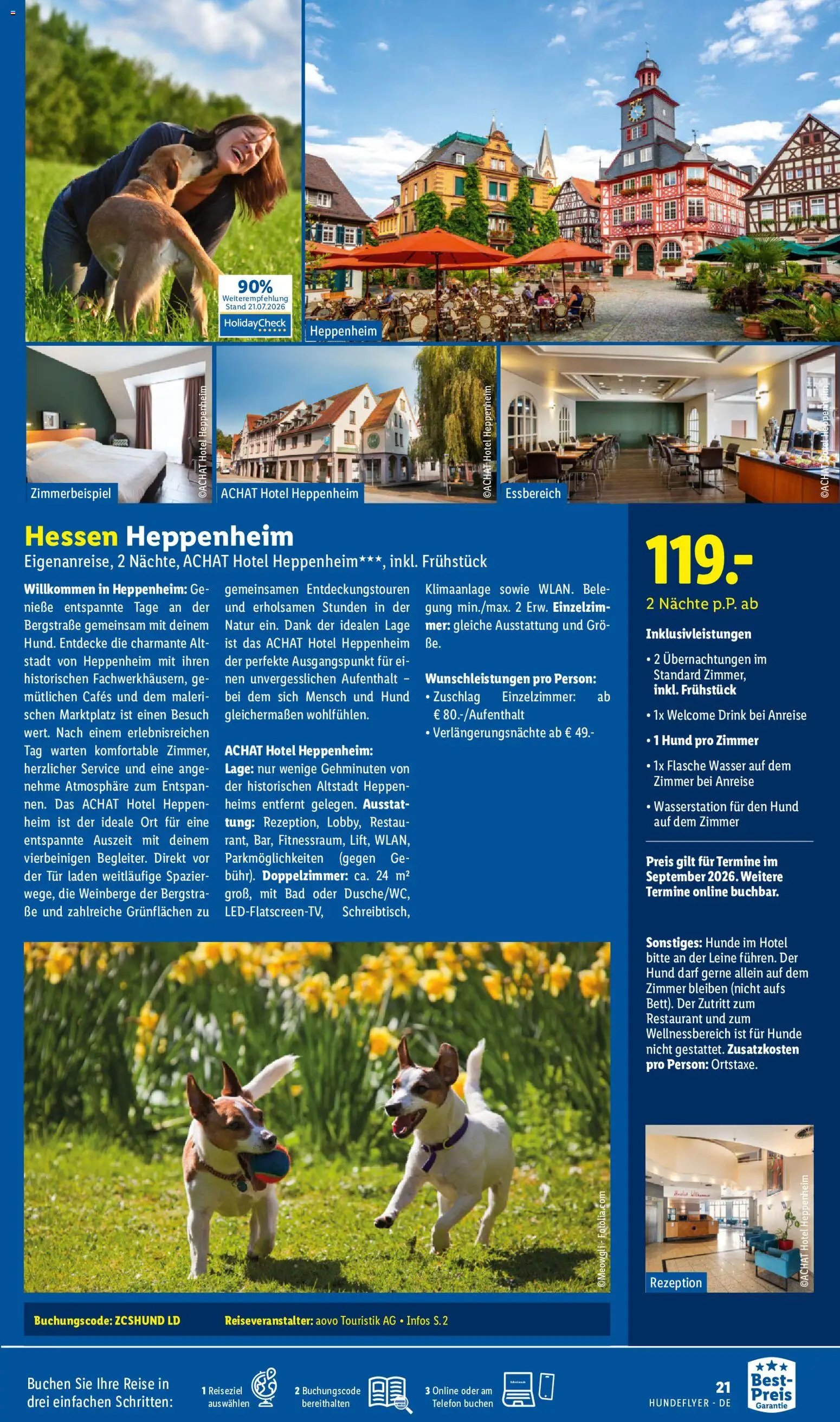 Lidl Reisen Hundeflyer