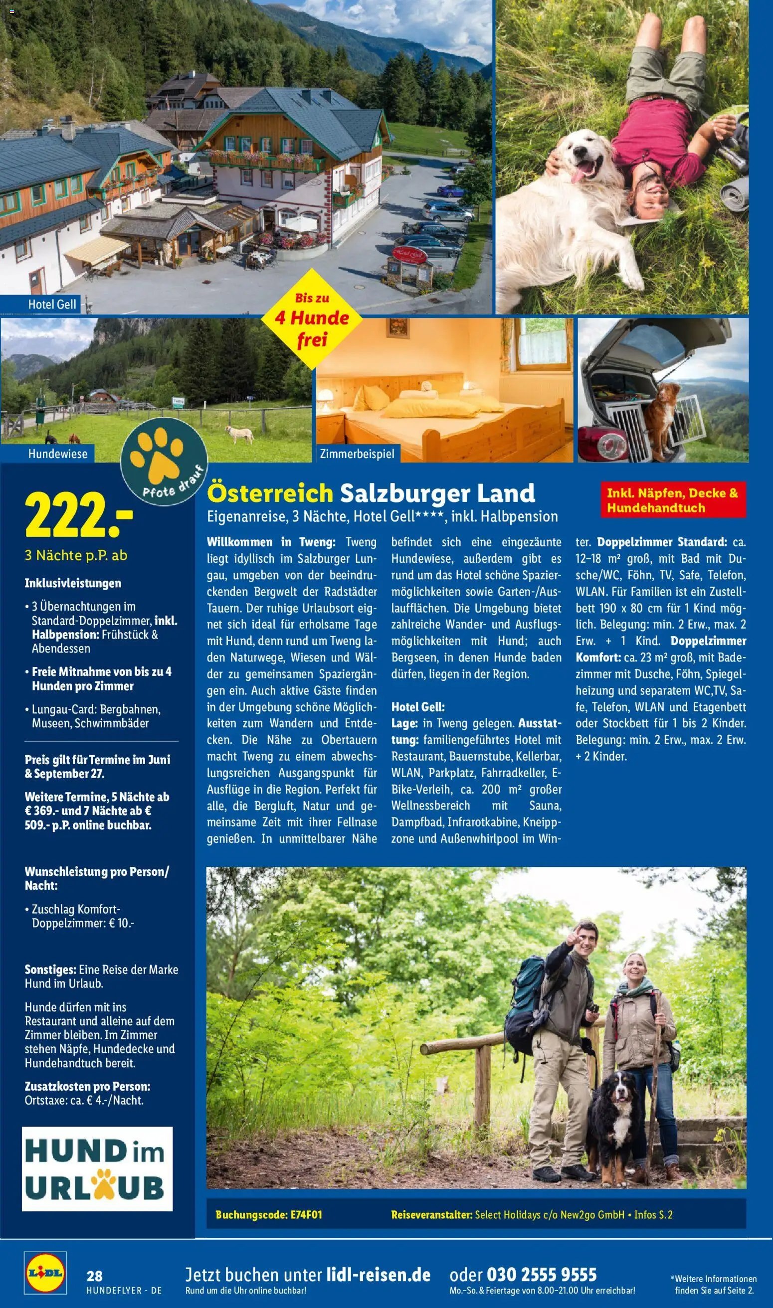 Lidl Reisen Hundeflyer