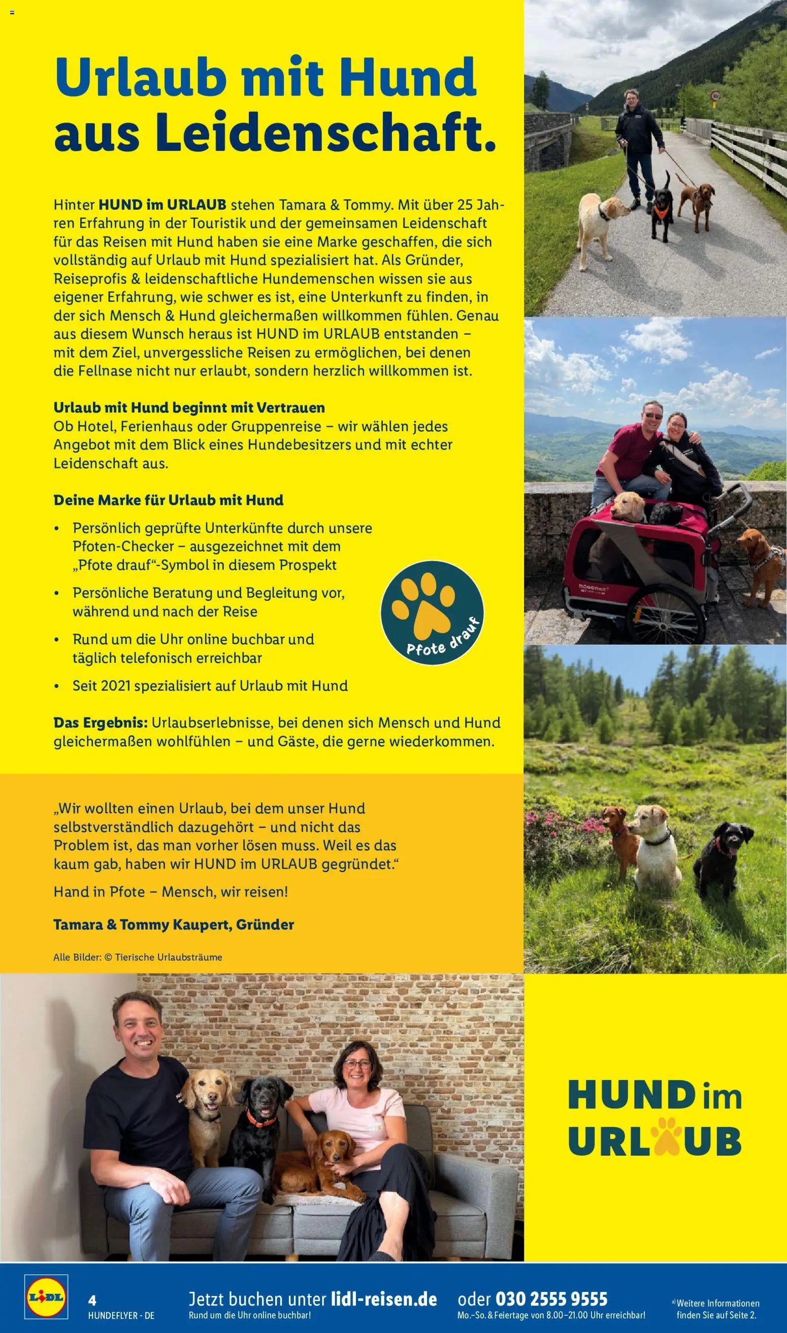 Lidl Reisen Hundeflyer