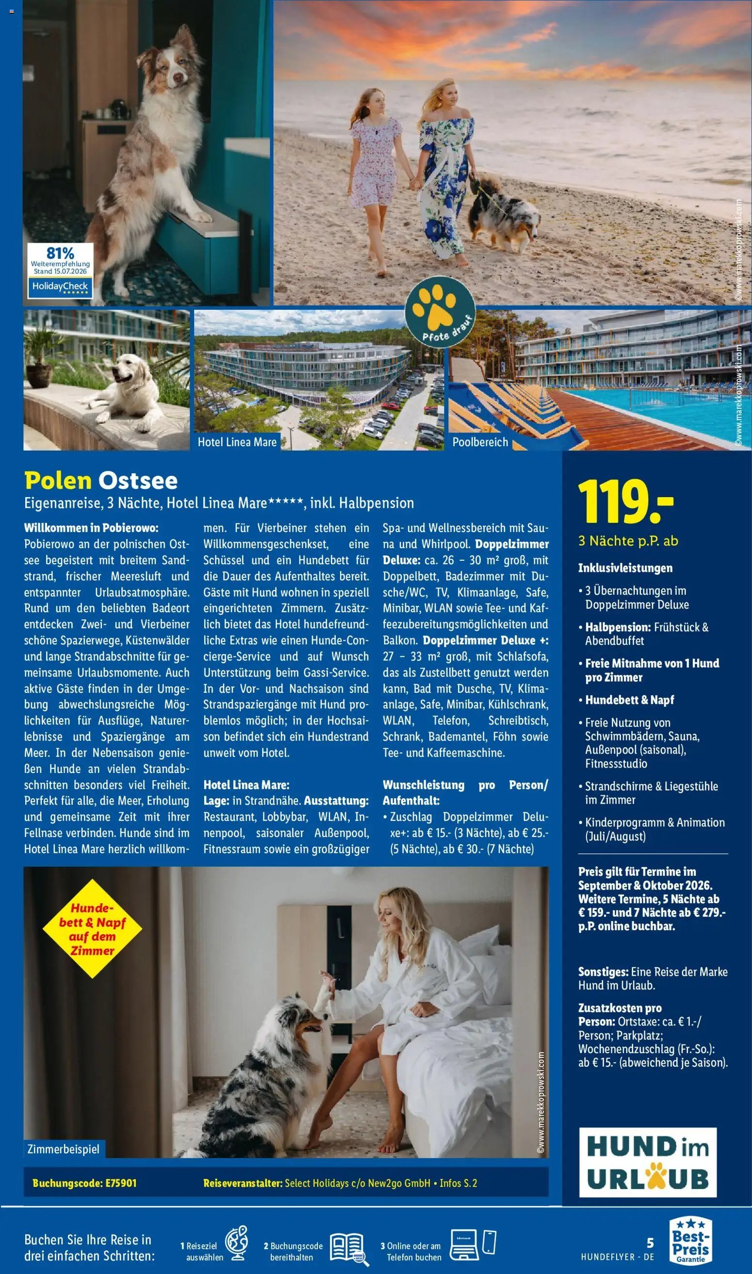 Lidl Reisen Hundeflyer