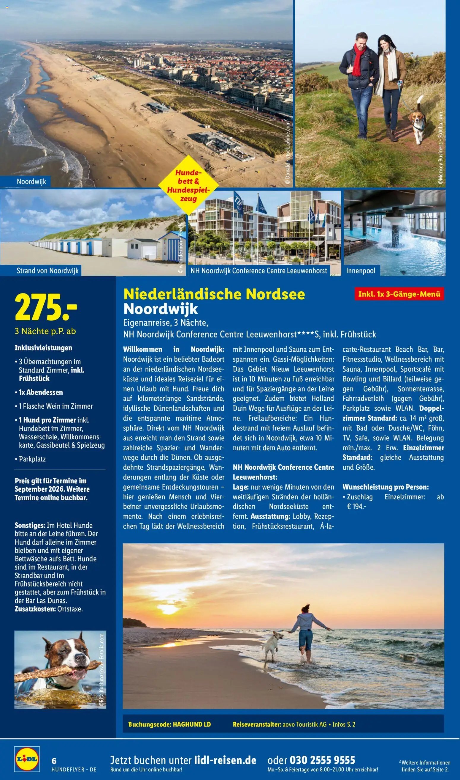 Lidl Reisen Hundeflyer