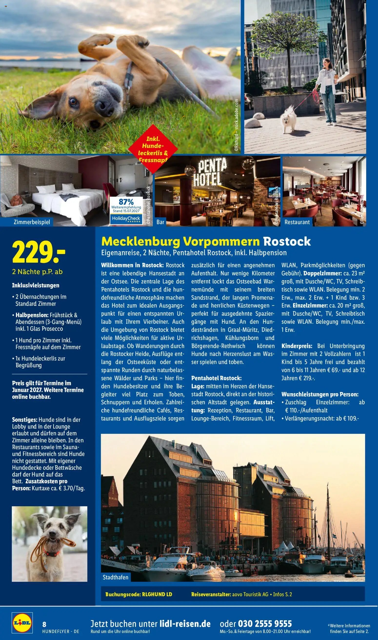 Lidl Reisen Hundeflyer