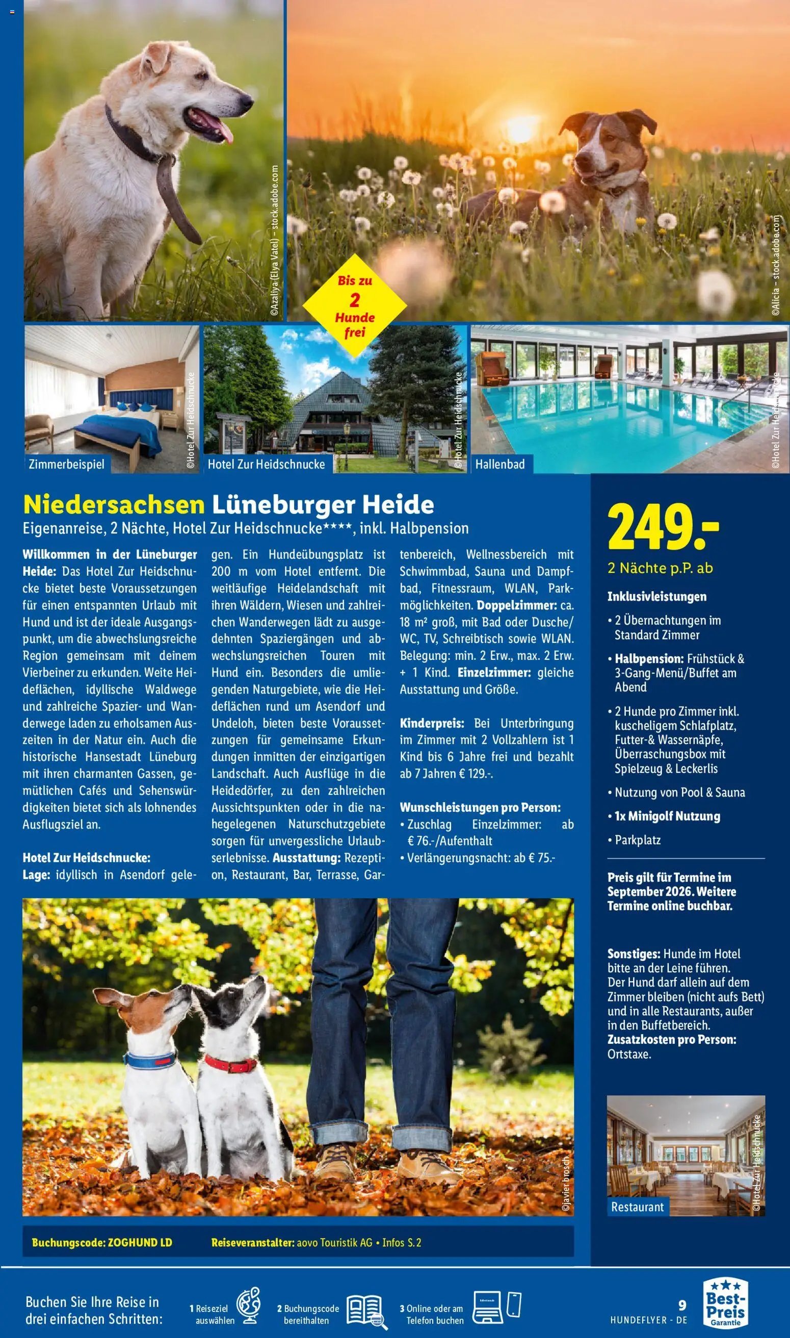 Lidl Reisen Hundeflyer