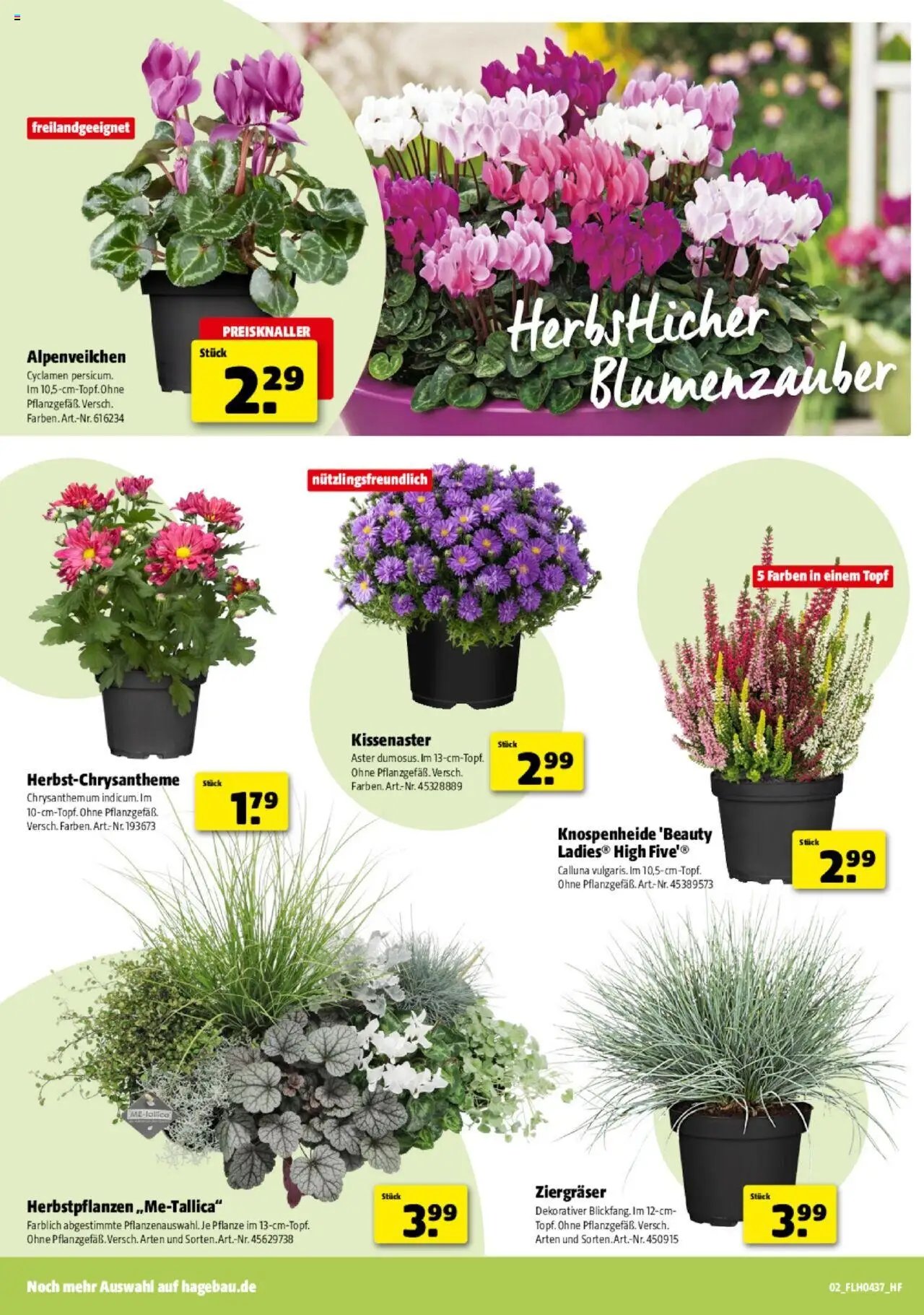 Hagebau Prospekt 	 (2025-09-06 - 2025-09-13) | 2