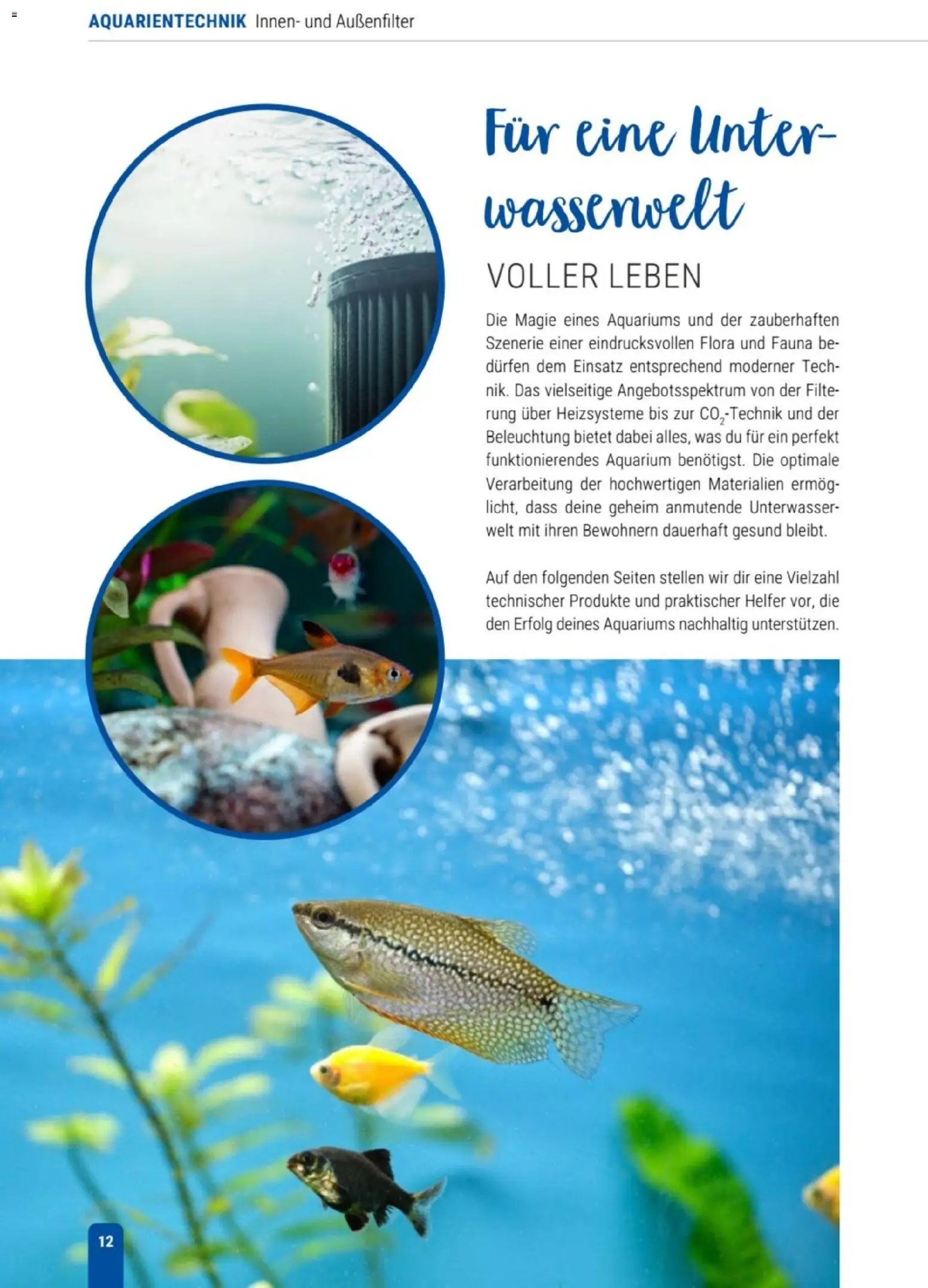 zookauf Themenkatalog Aqua