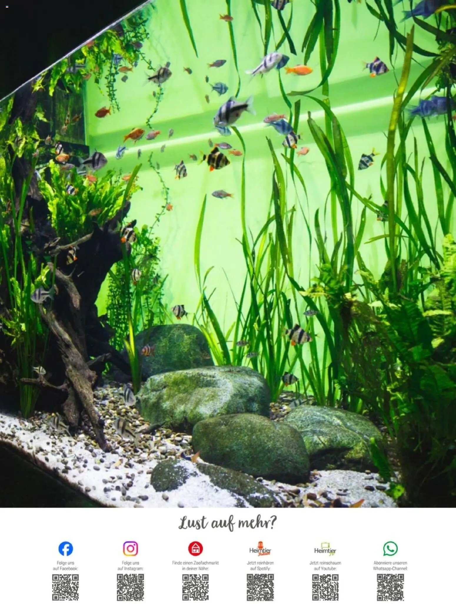 zookauf Themenkatalog Aqua