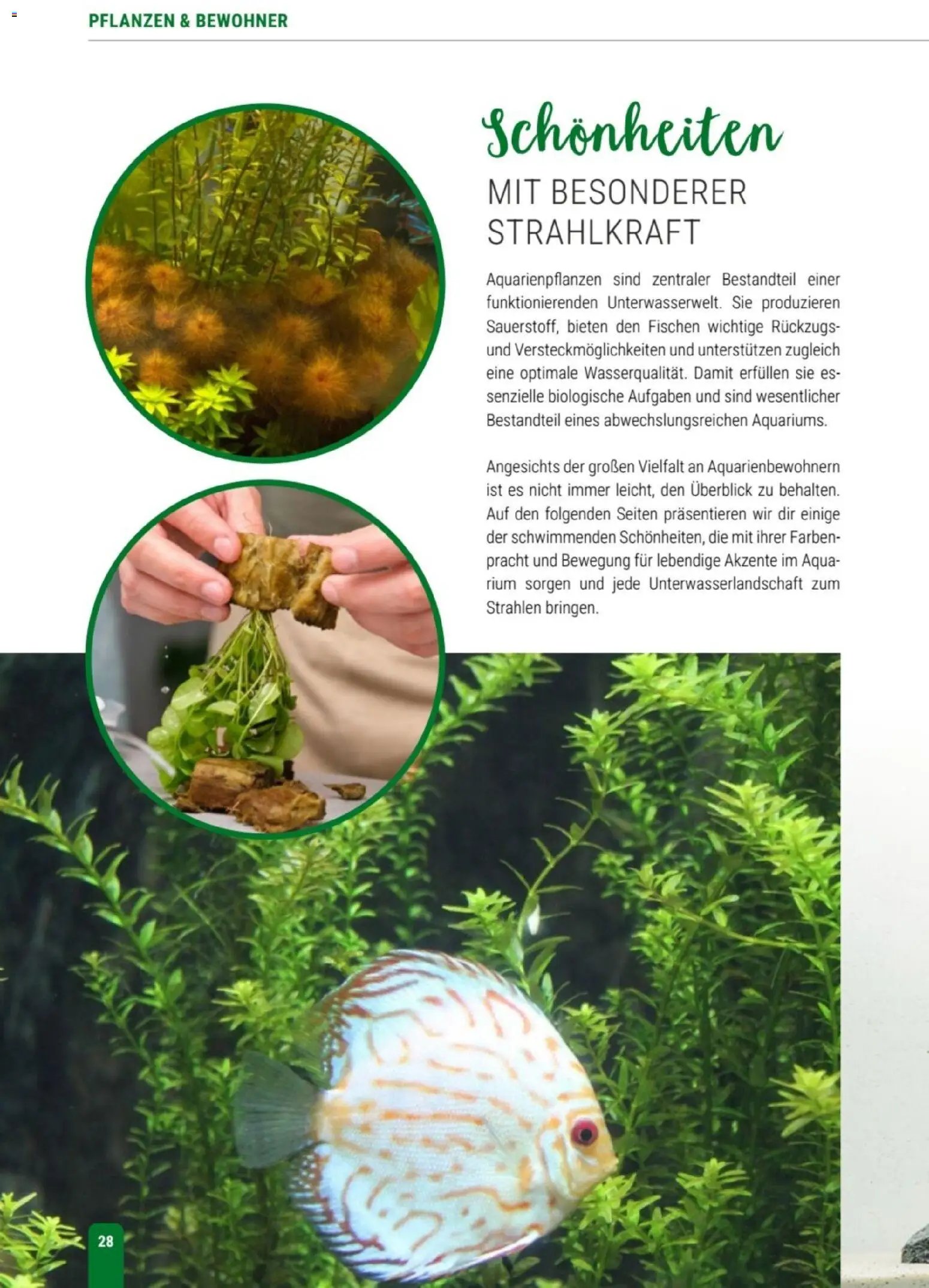 zookauf Themenkatalog Aqua