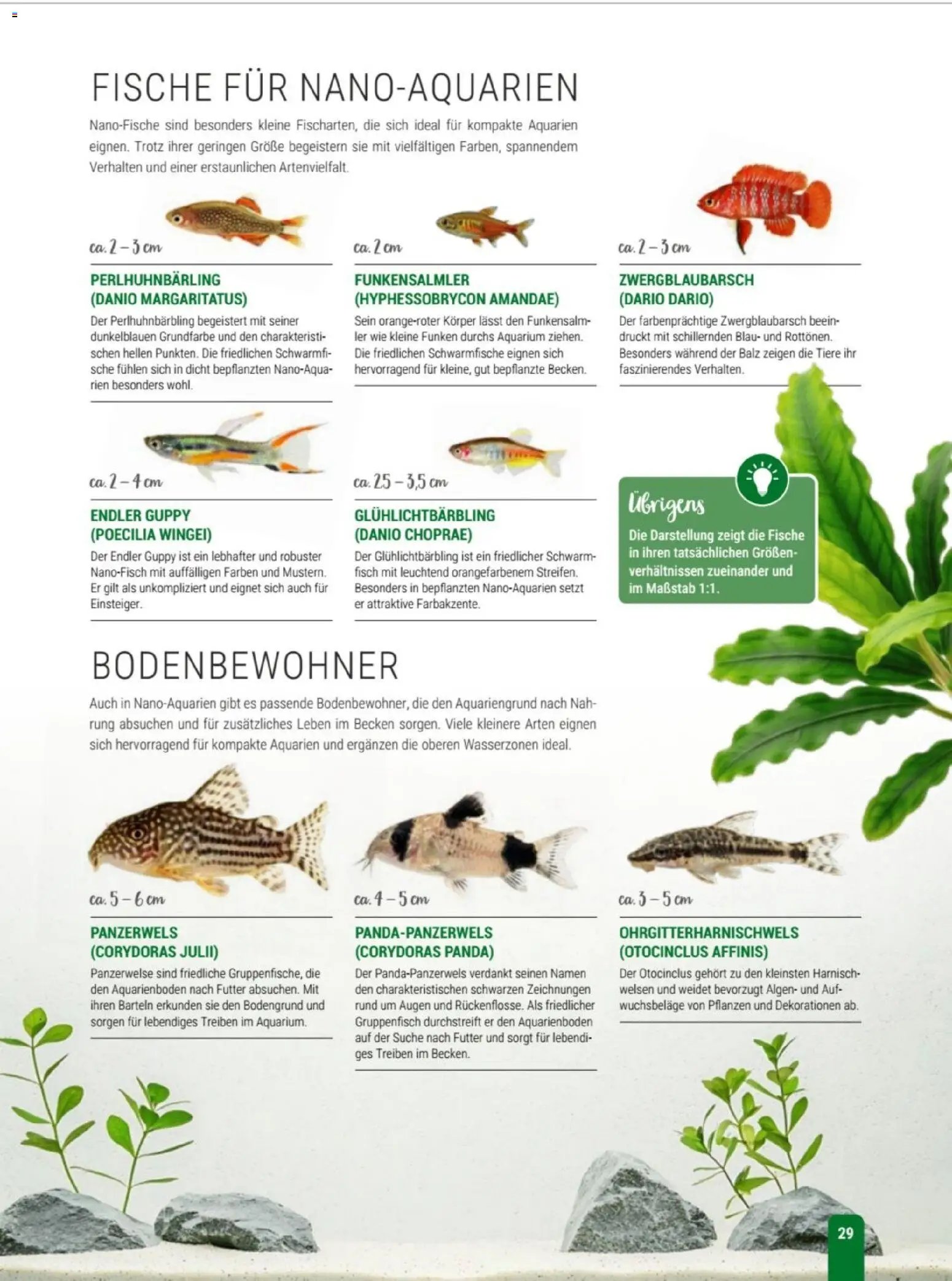 zookauf Themenkatalog Aqua