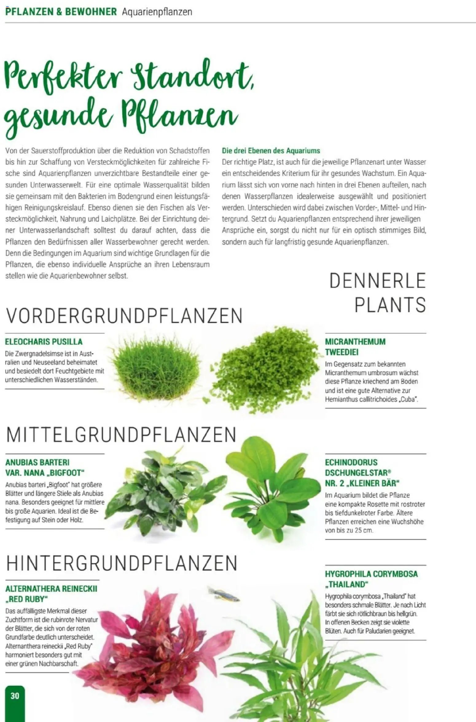zookauf Themenkatalog Aqua