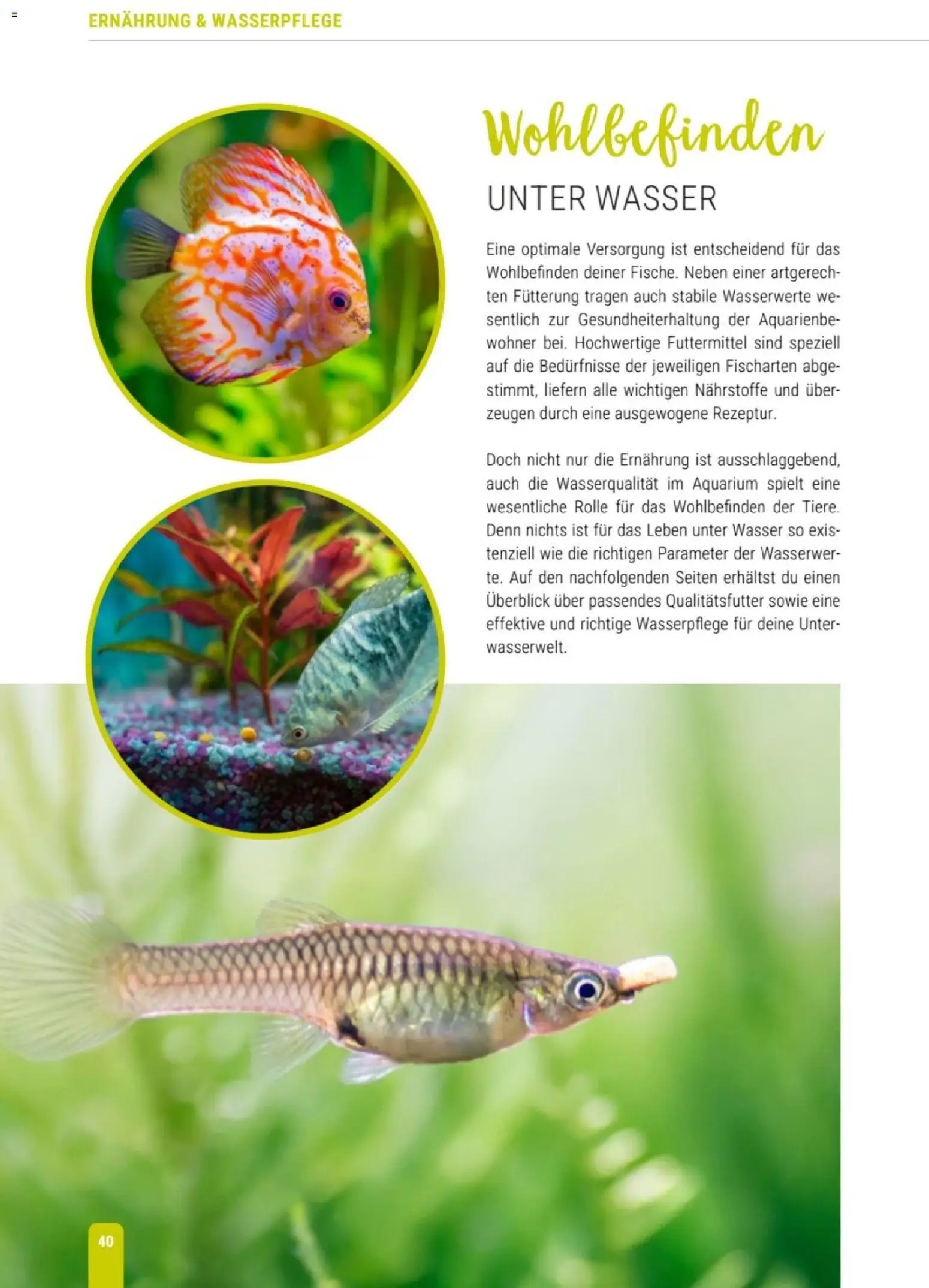 zookauf Themenkatalog Aqua