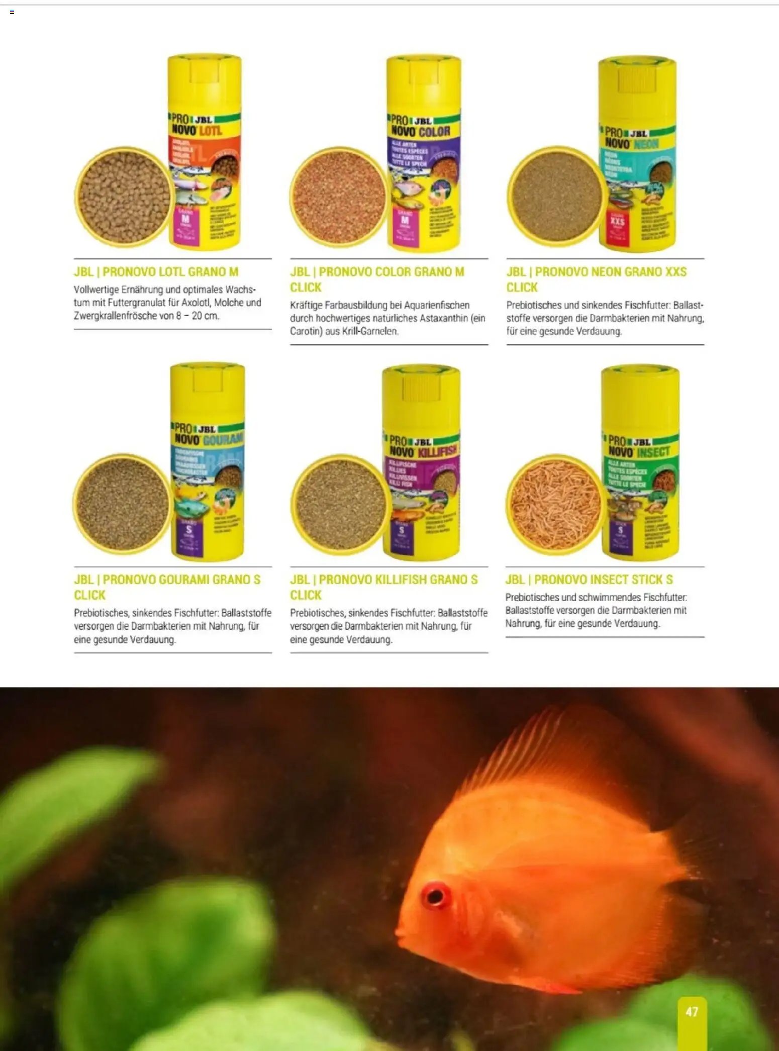 zookauf Themenkatalog Aqua