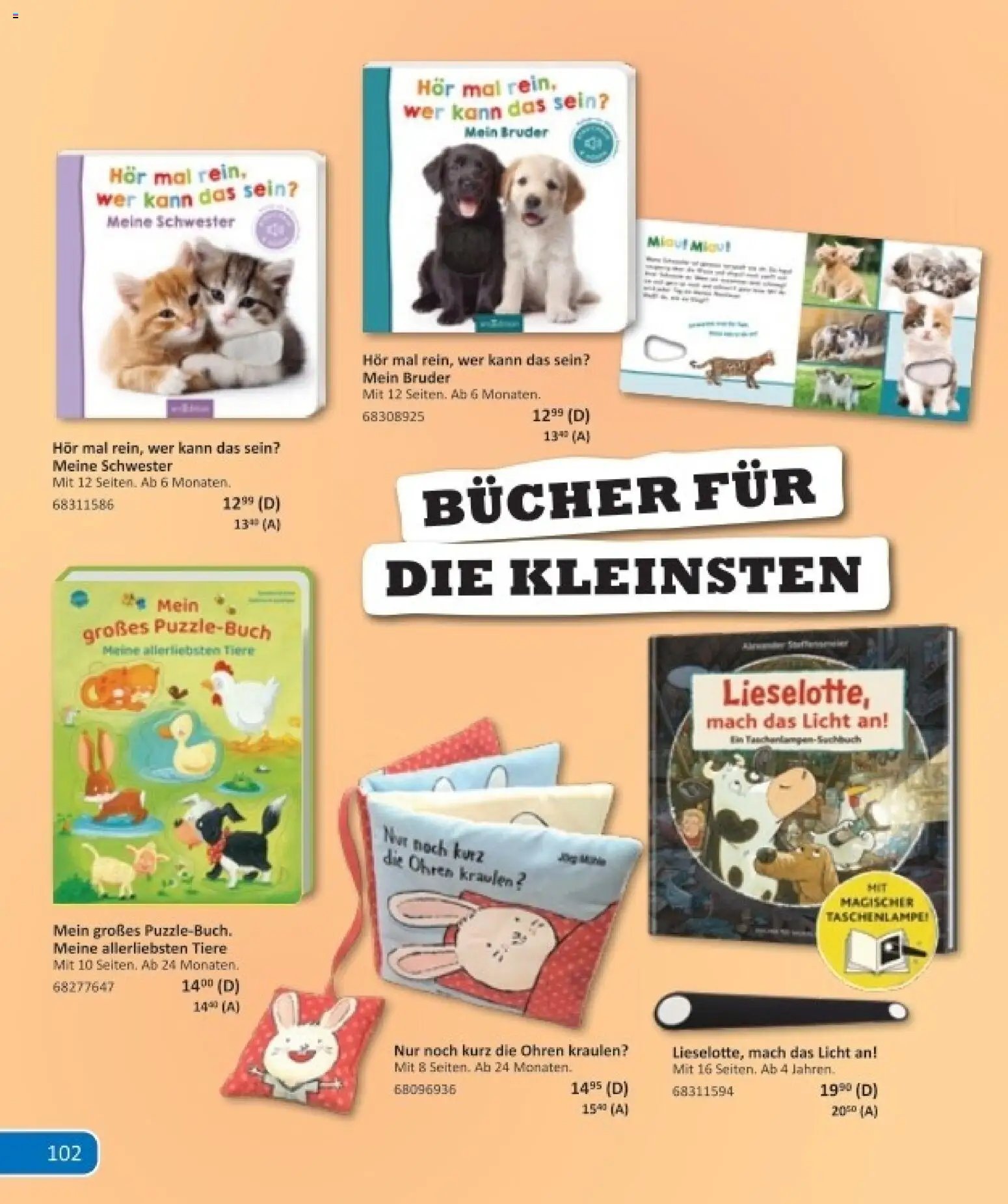 Vedes Das grosse buch der wünsche