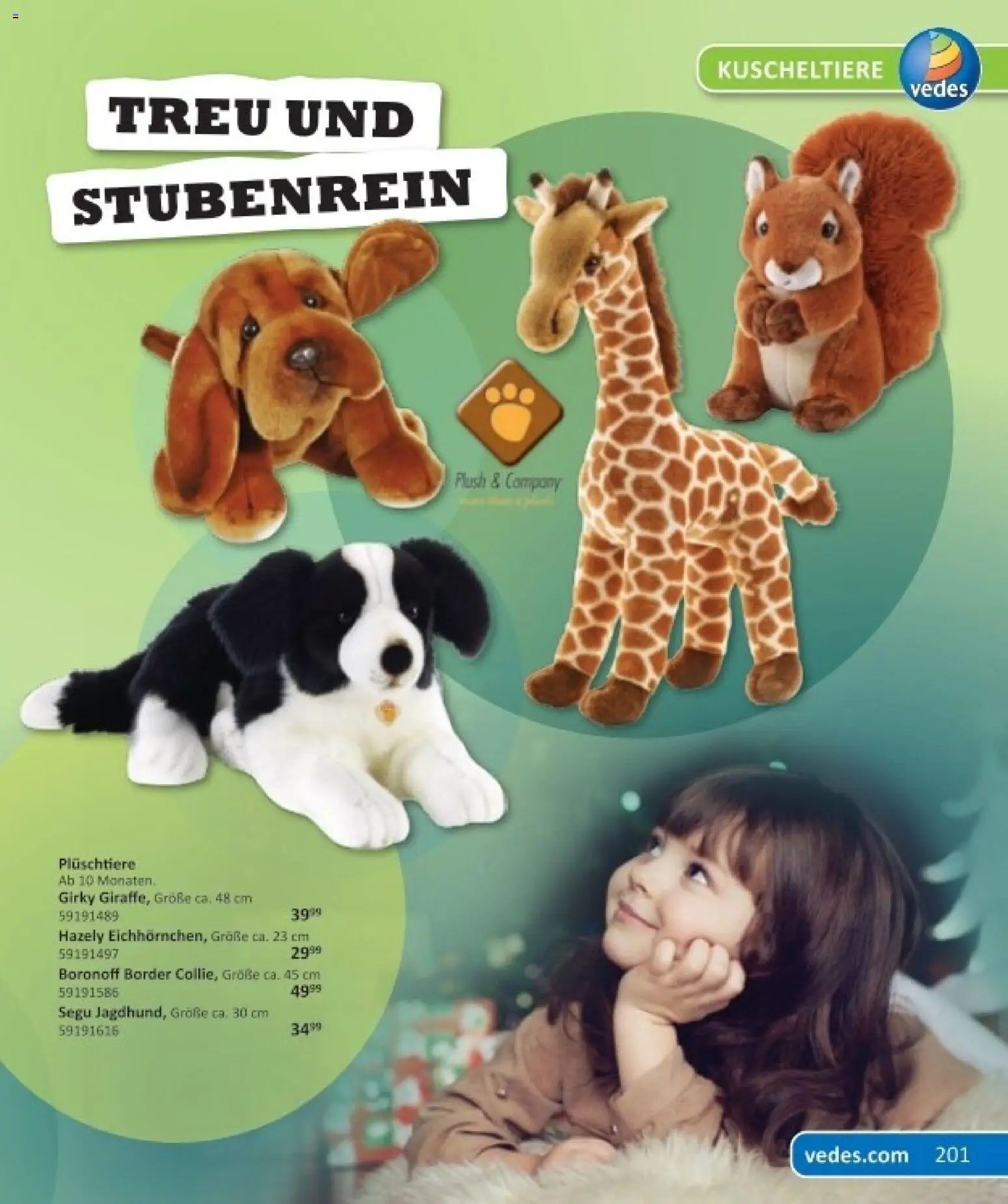 Vedes Das grosse buch der wünsche