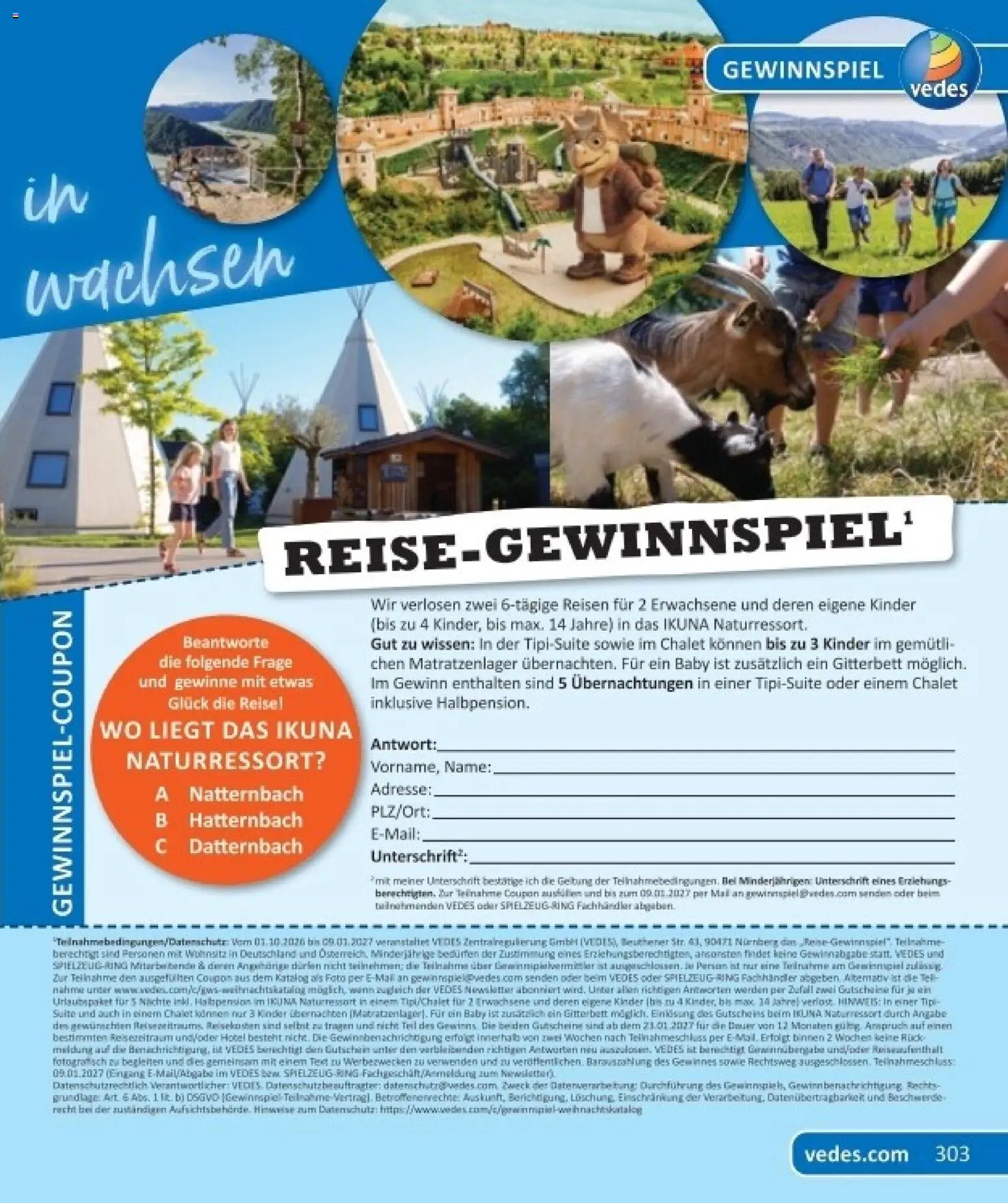 Vedes Das grosse buch der wünsche