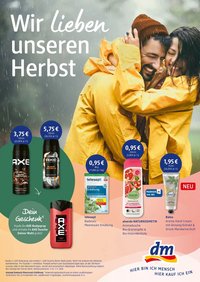dm drogerie prospekt Berlin