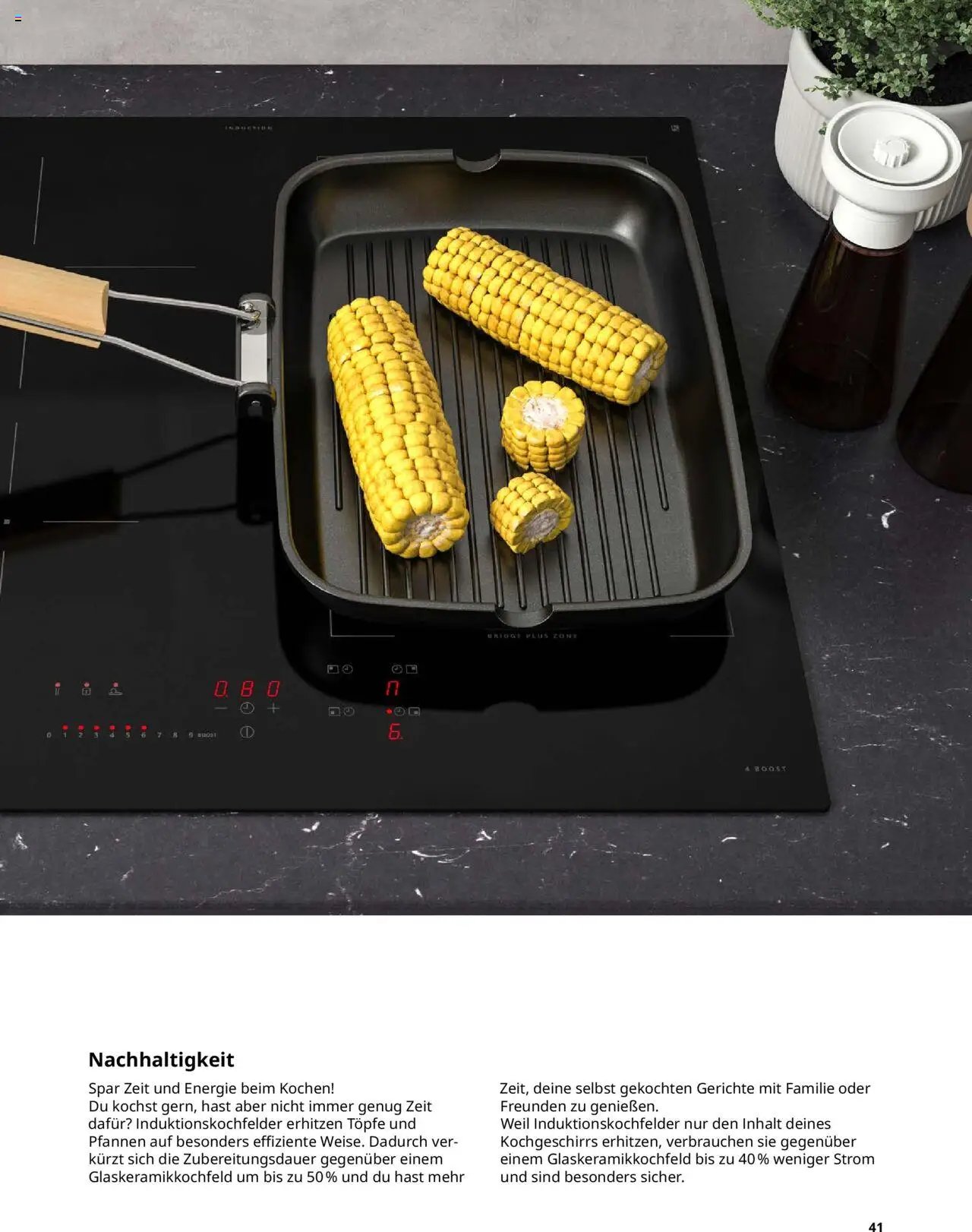 Ikea Elektrogeräte (2025-09-30 - 2026-09-30)