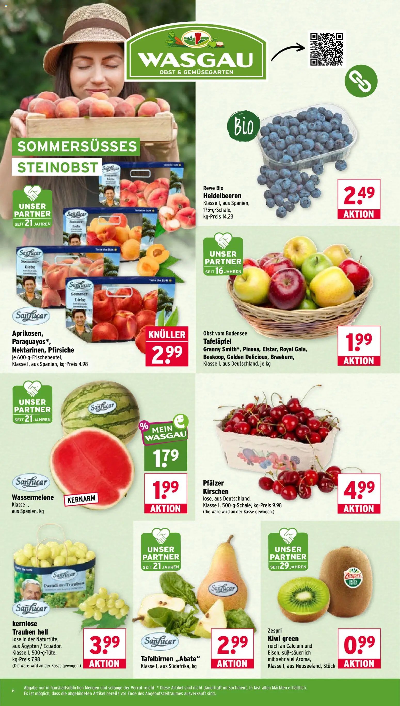 Wasgau Prospekt