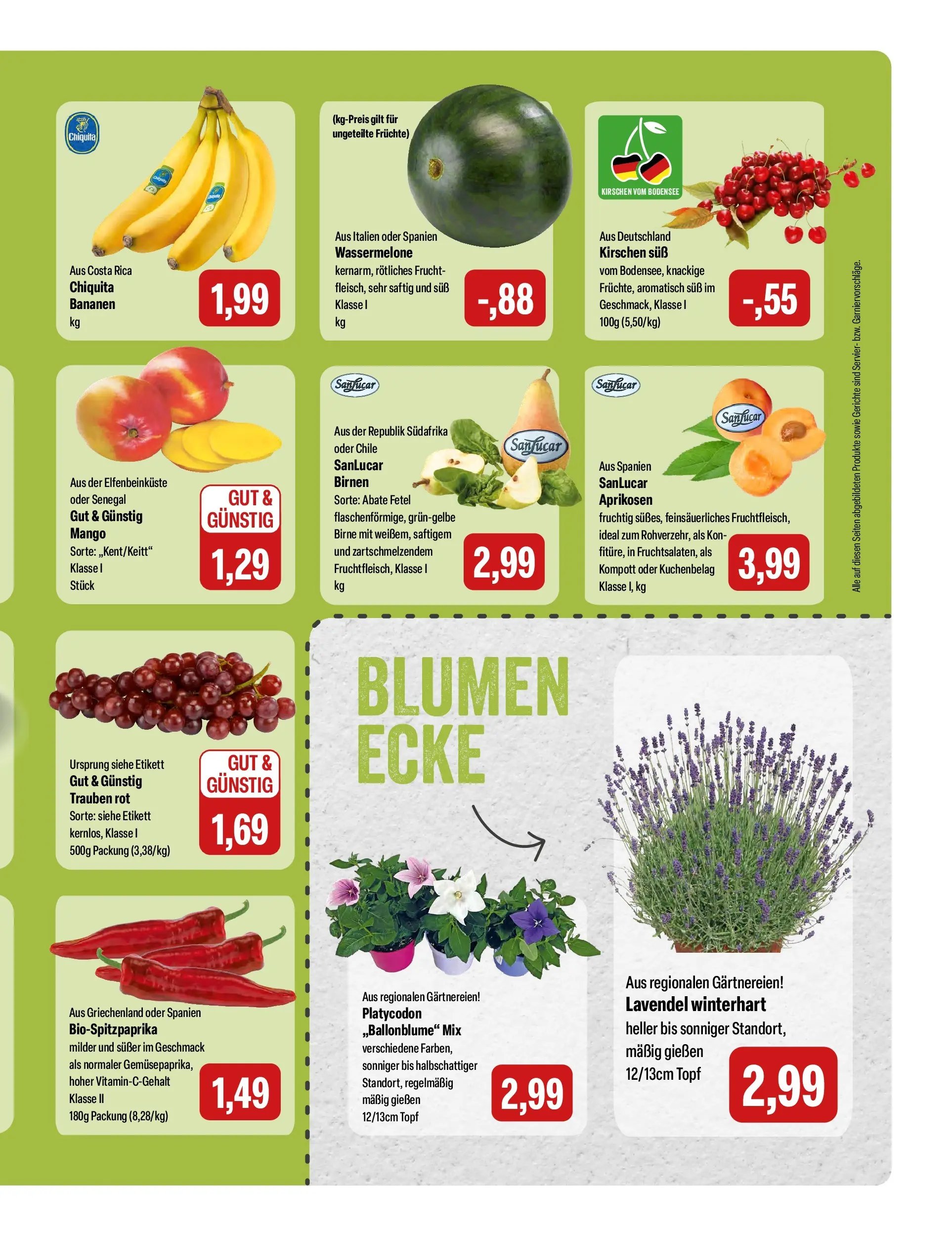 Feneberg Angebote