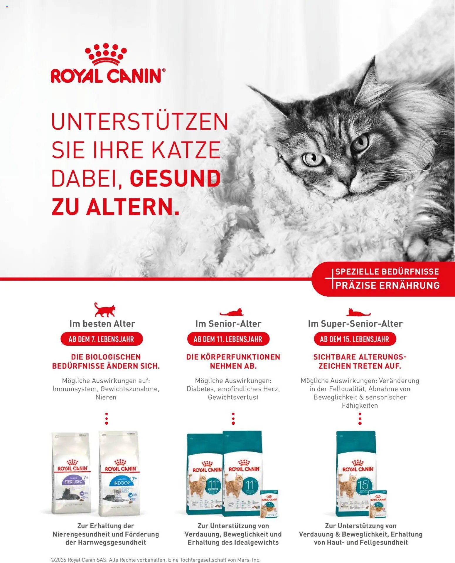 Fressnapf Friends Magazin