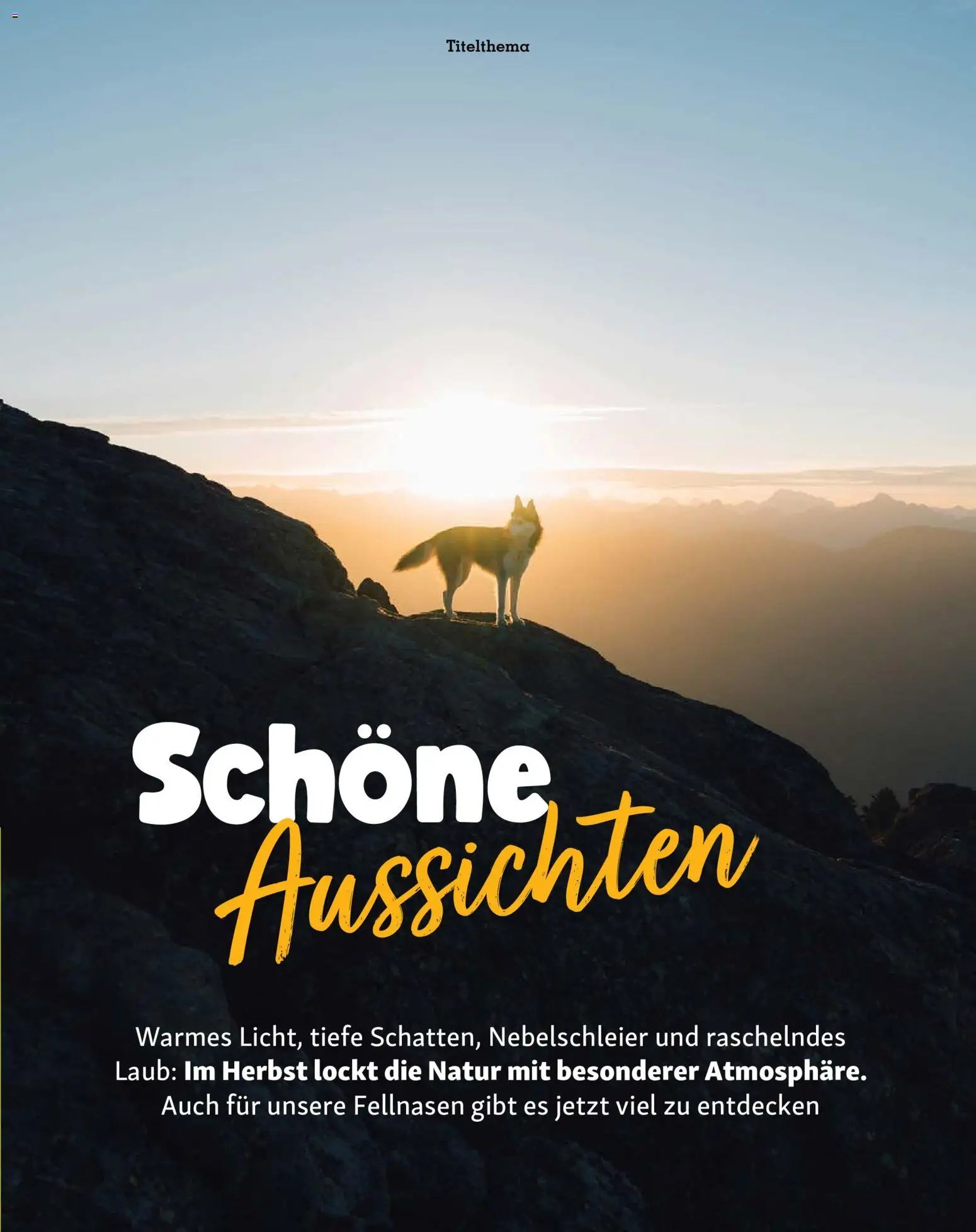 Fressnapf Friends Magazin