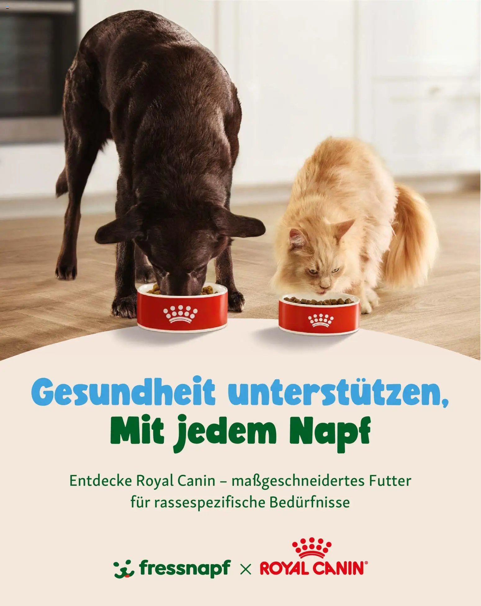Fressnapf Friends Magazin