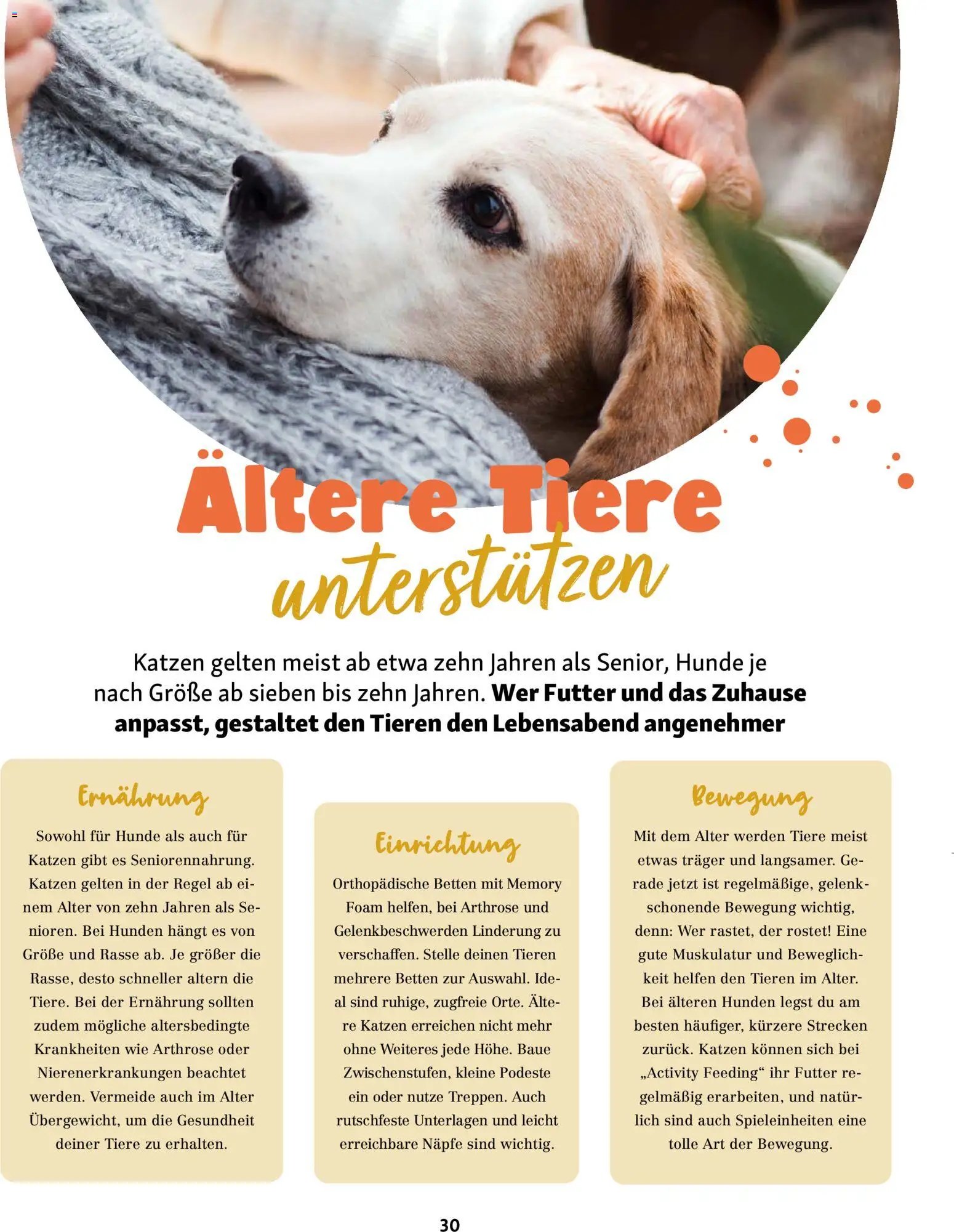 Fressnapf Friends Magazin