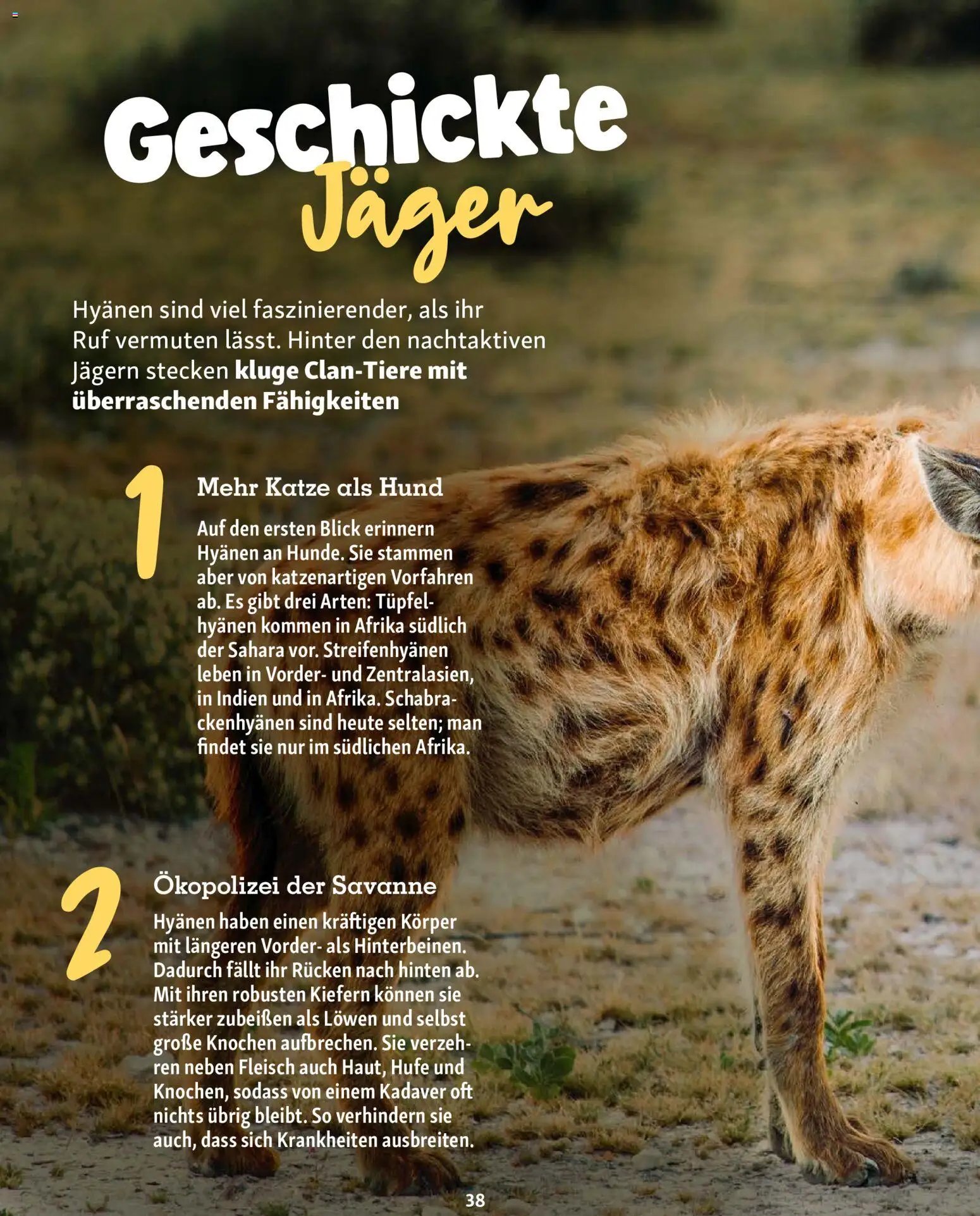 Fressnapf Friends Magazin