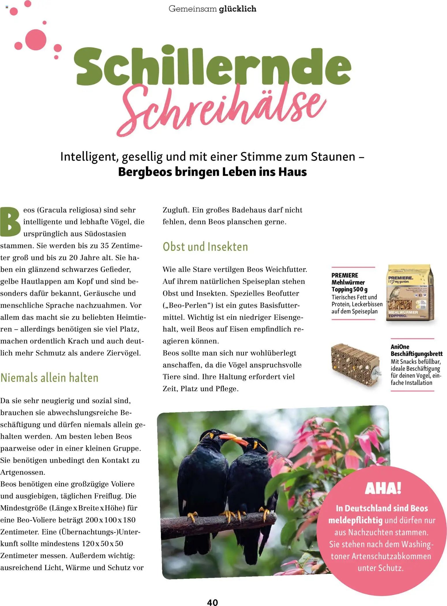 Fressnapf Friends Magazin