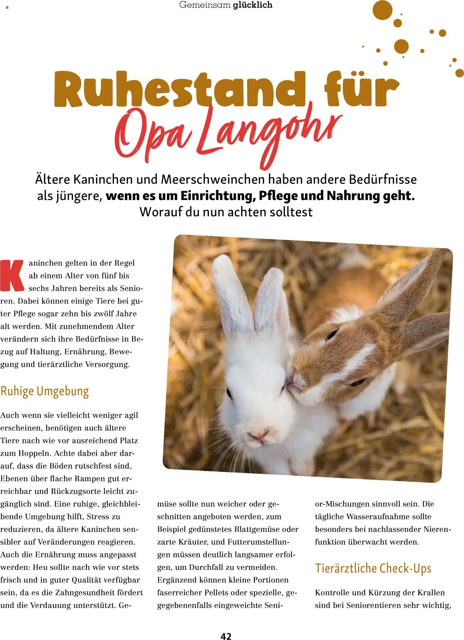Fressnapf Friends Magazin