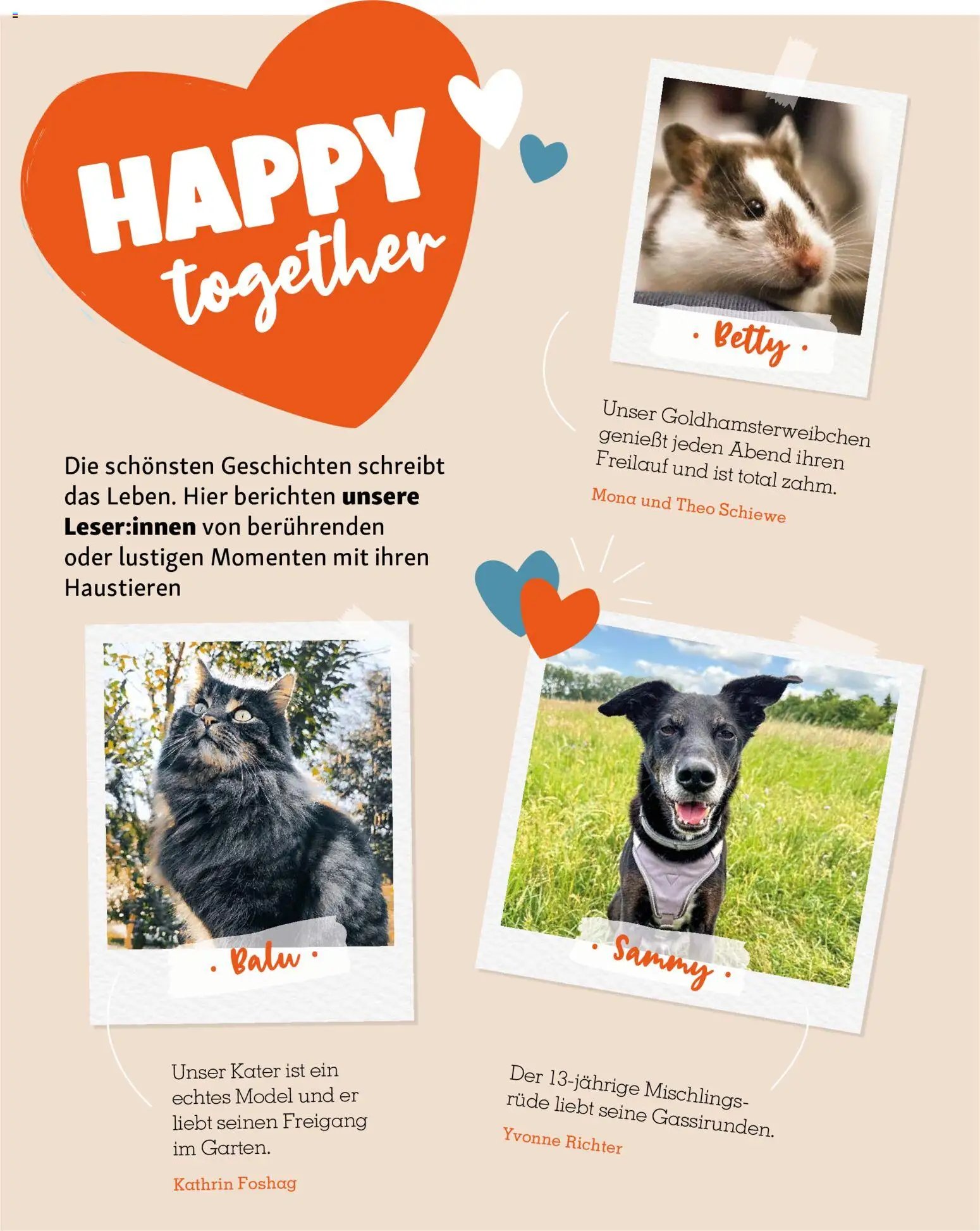 Fressnapf Friends Magazin