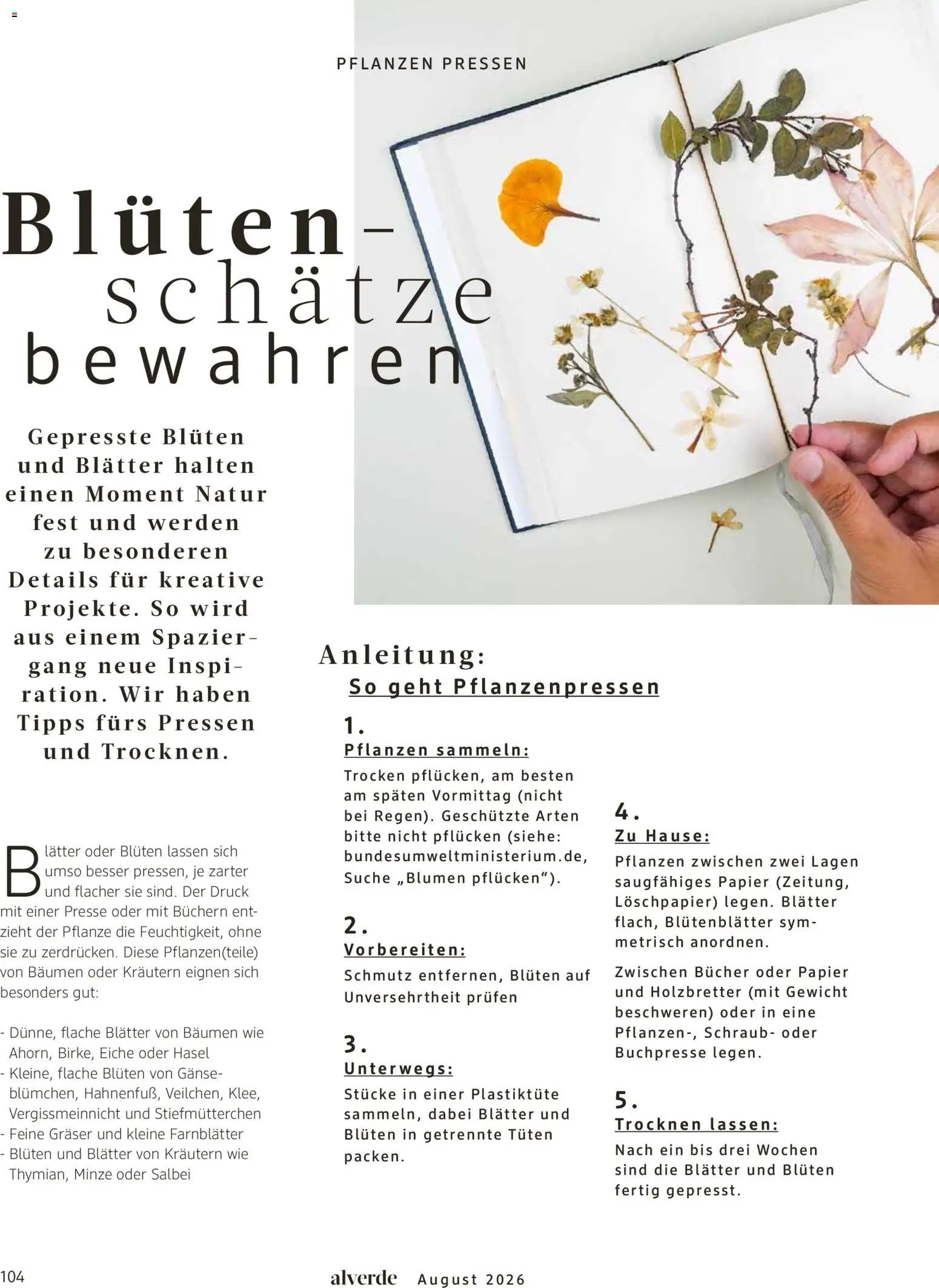 dm drogerie Prospekt