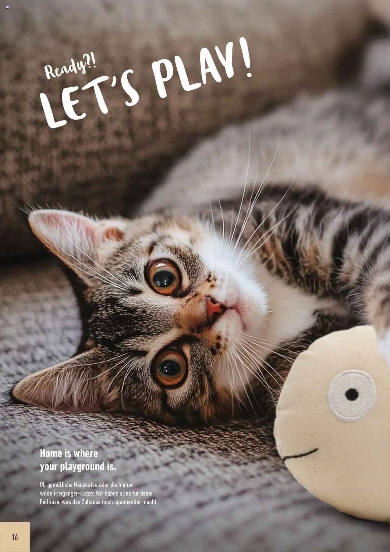 Katalog ProWin Best Friends Juli 2025/Juni 2026