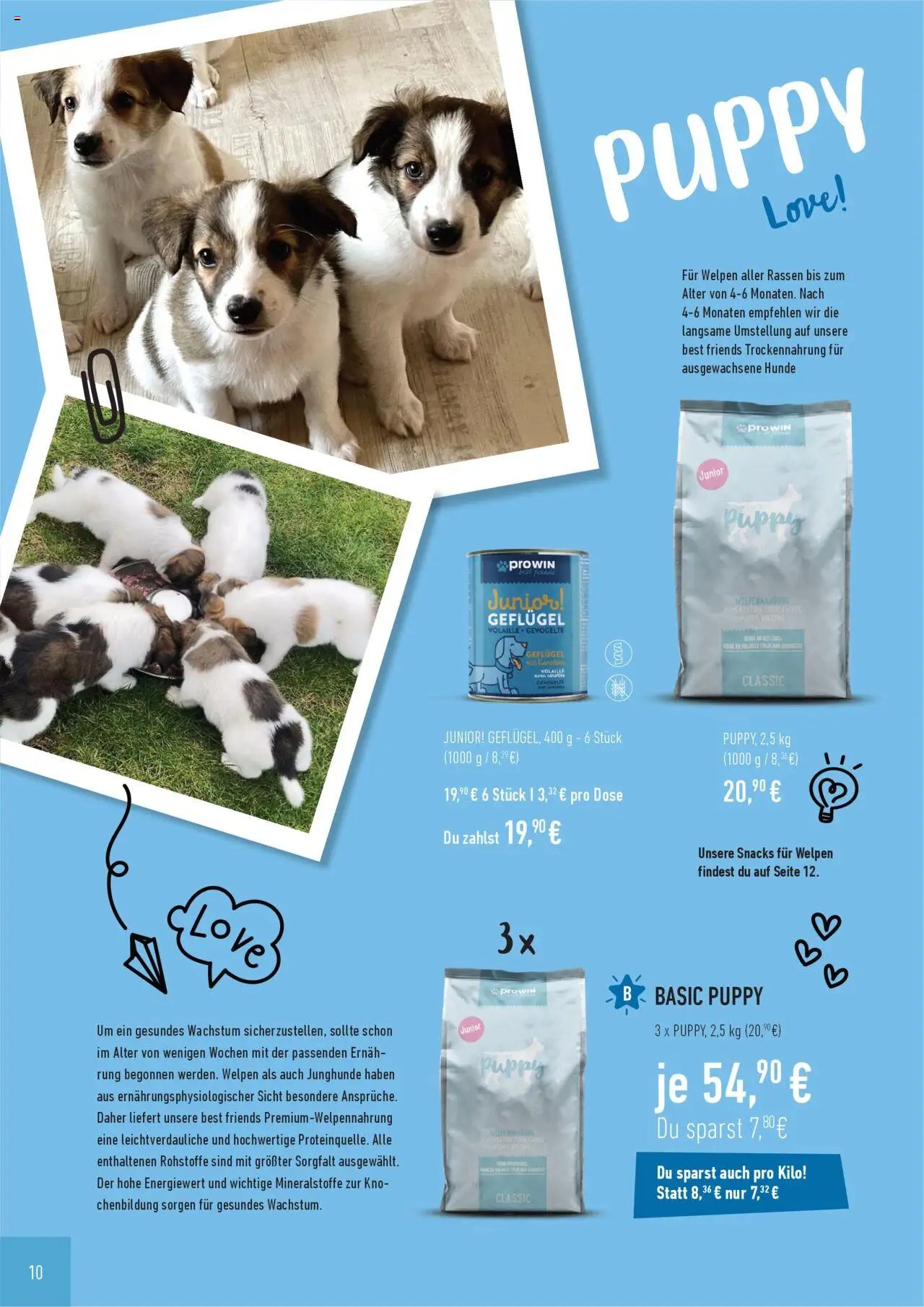Katalog ProWin Best Friends Juli 2025/Juni 2026