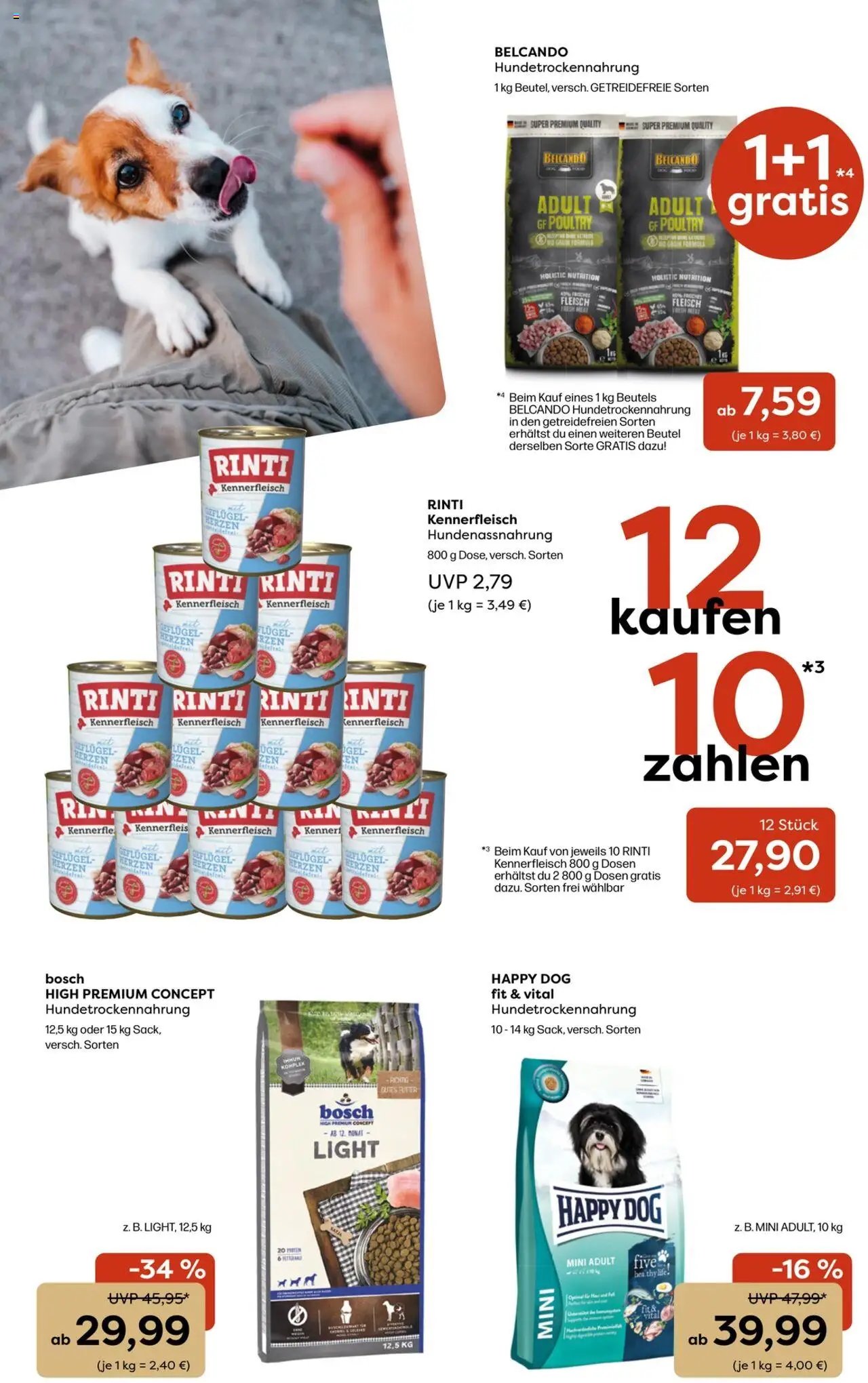 Zoo & co Prospekt 	 (2025-07-28 - 2025-08-03) | 6