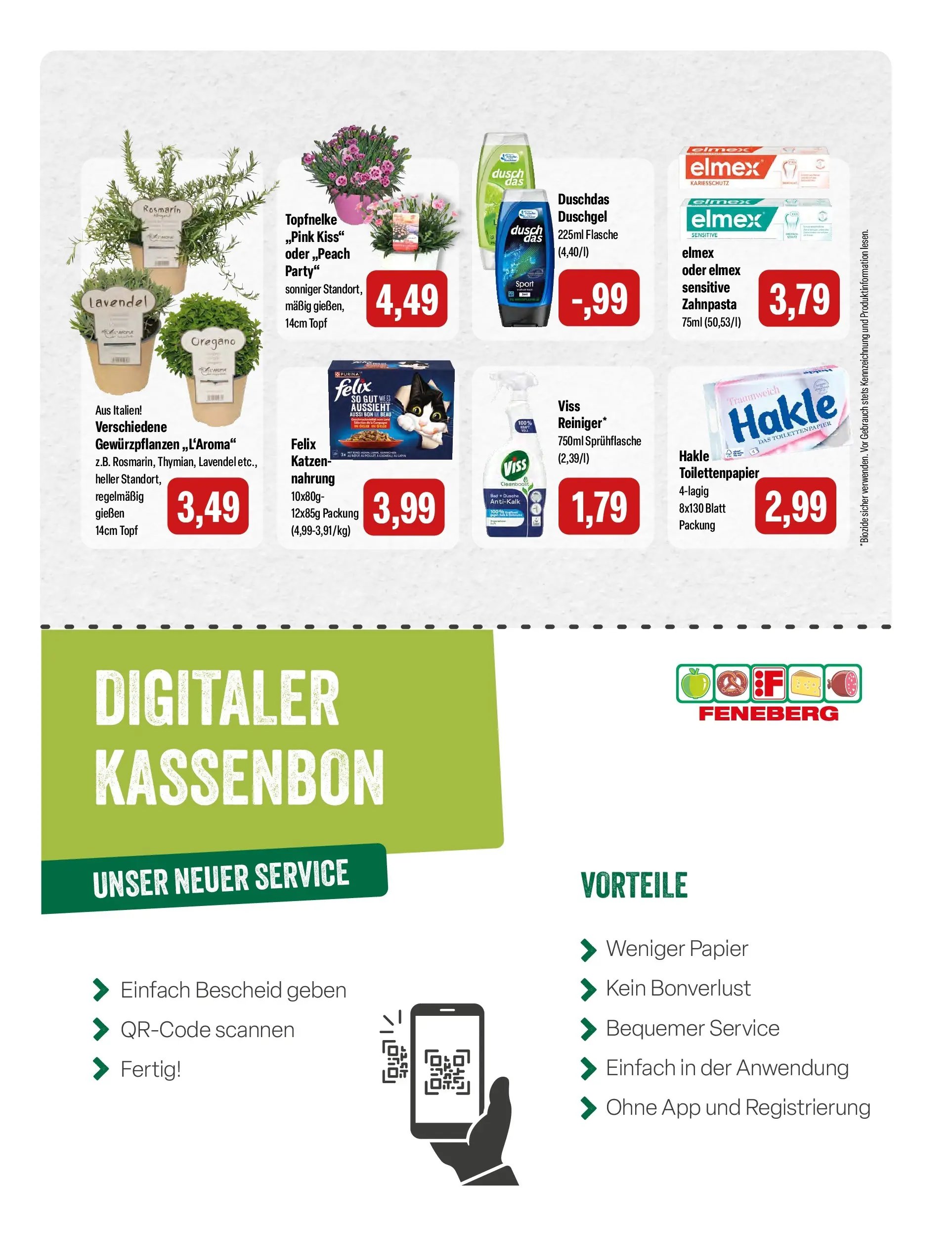 Feneberg Aktuelle Angebote