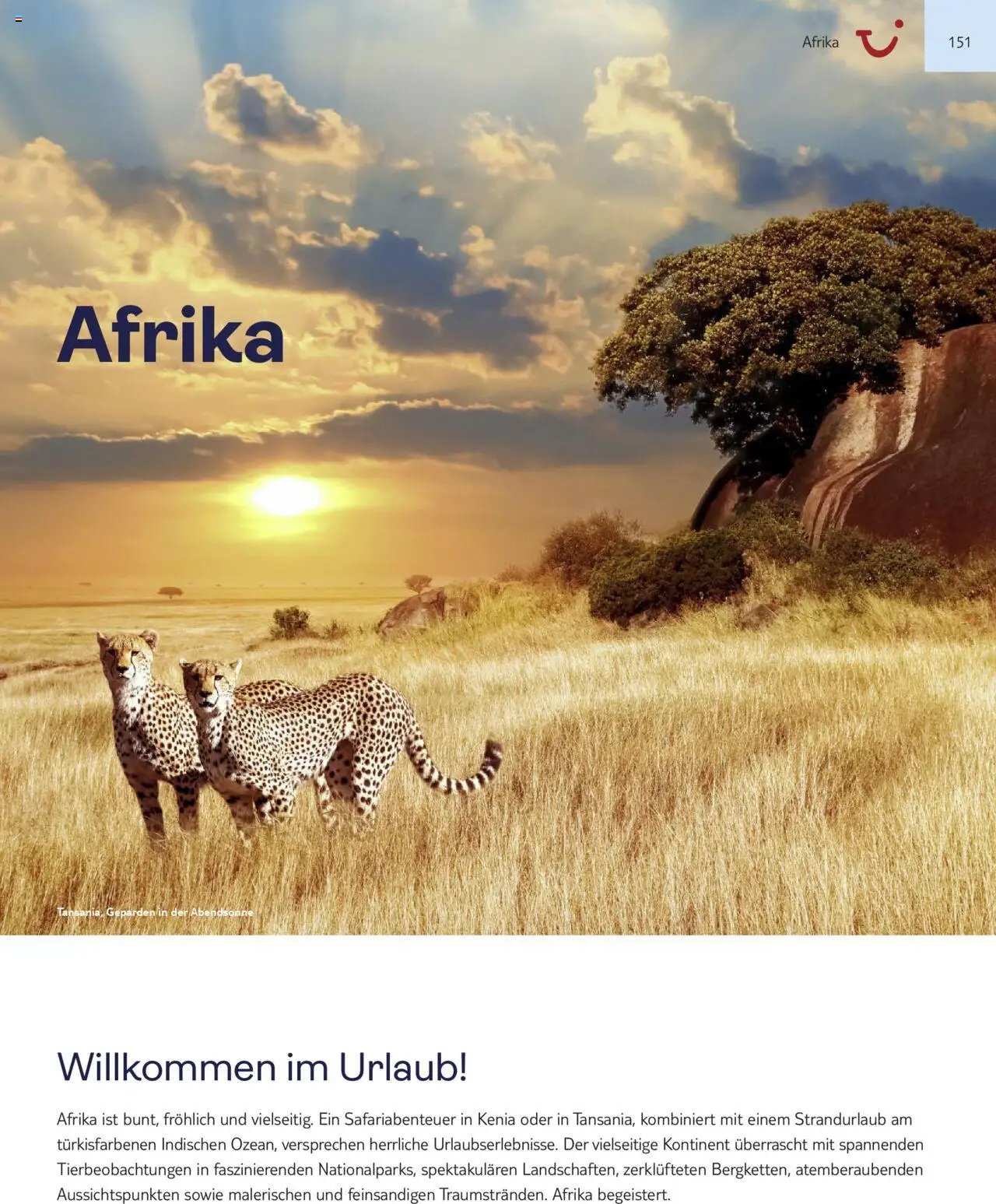 Aida - Asien, Afrika, Orient & Indischer Ozean 2025/26 (2025-11-01 - 2026-10-31)