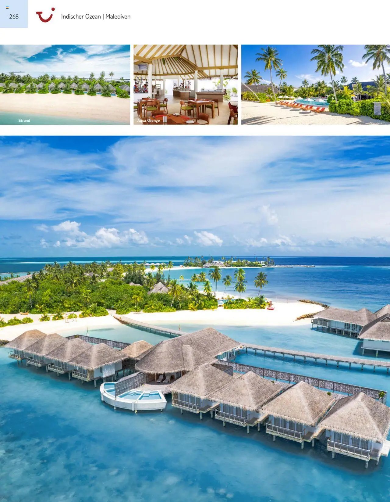Aida - Asien, Afrika, Orient & Indischer Ozean 2025/26 (2025-11-01 - 2026-10-31)