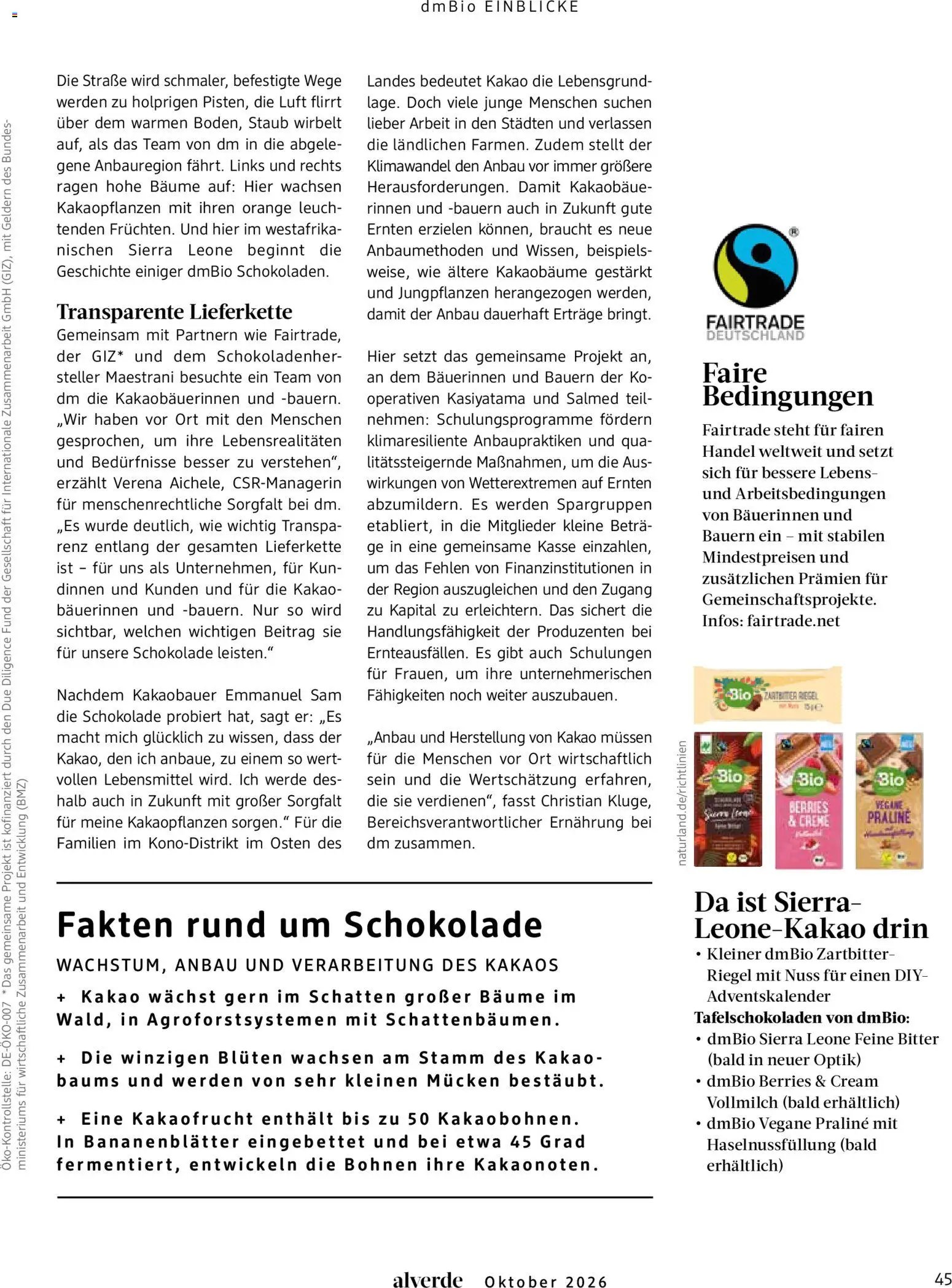 dm drogerie Prospekt