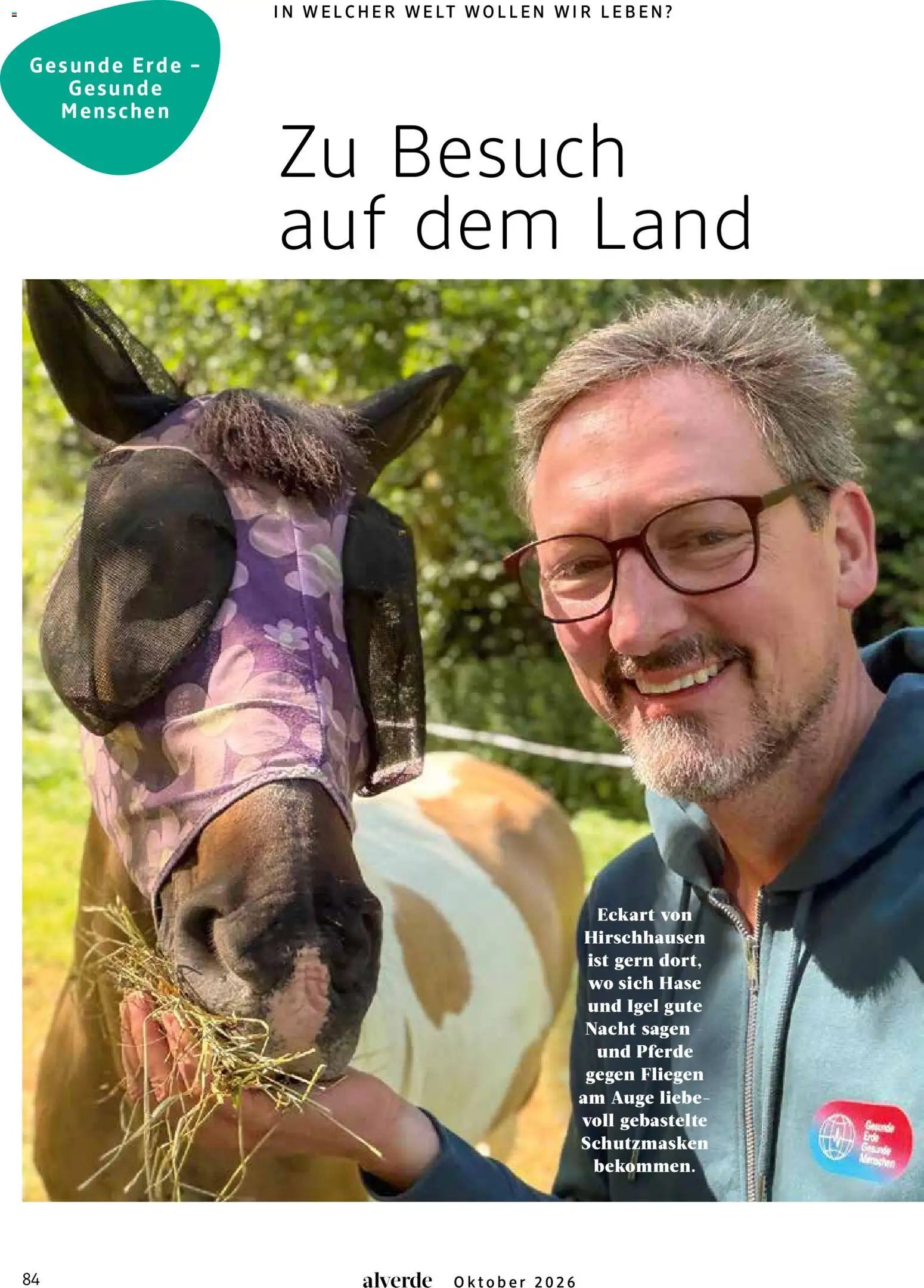dm drogerie Prospekt