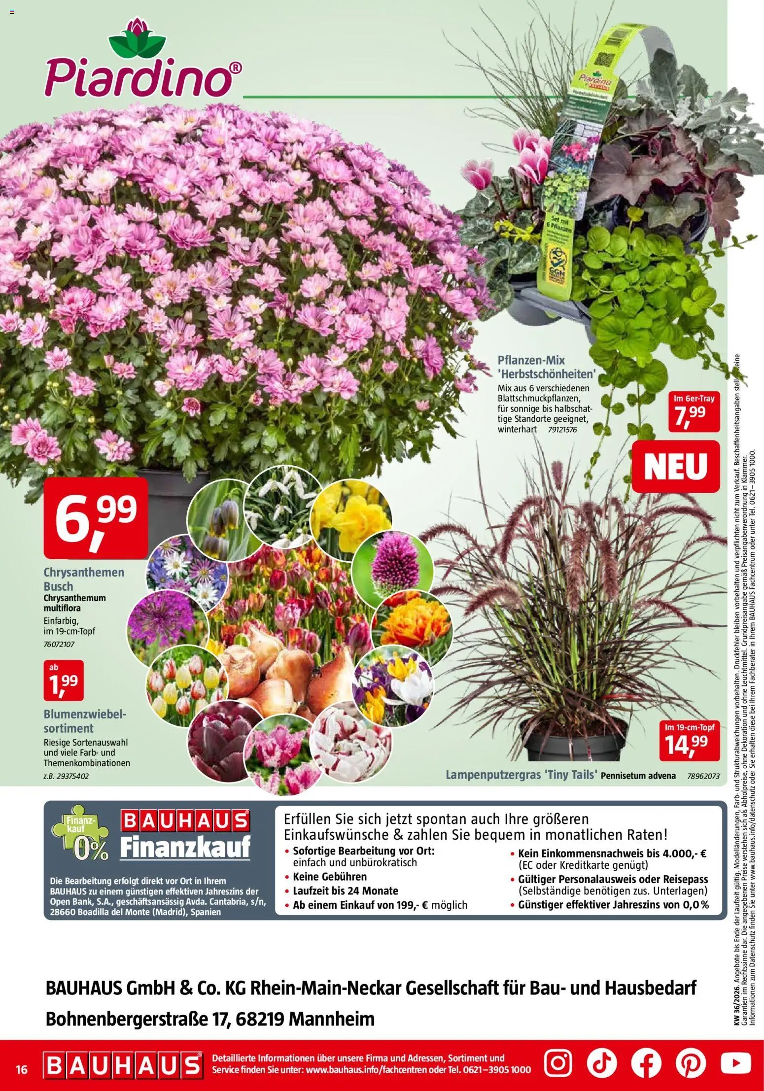 Bauhaus Prospekt