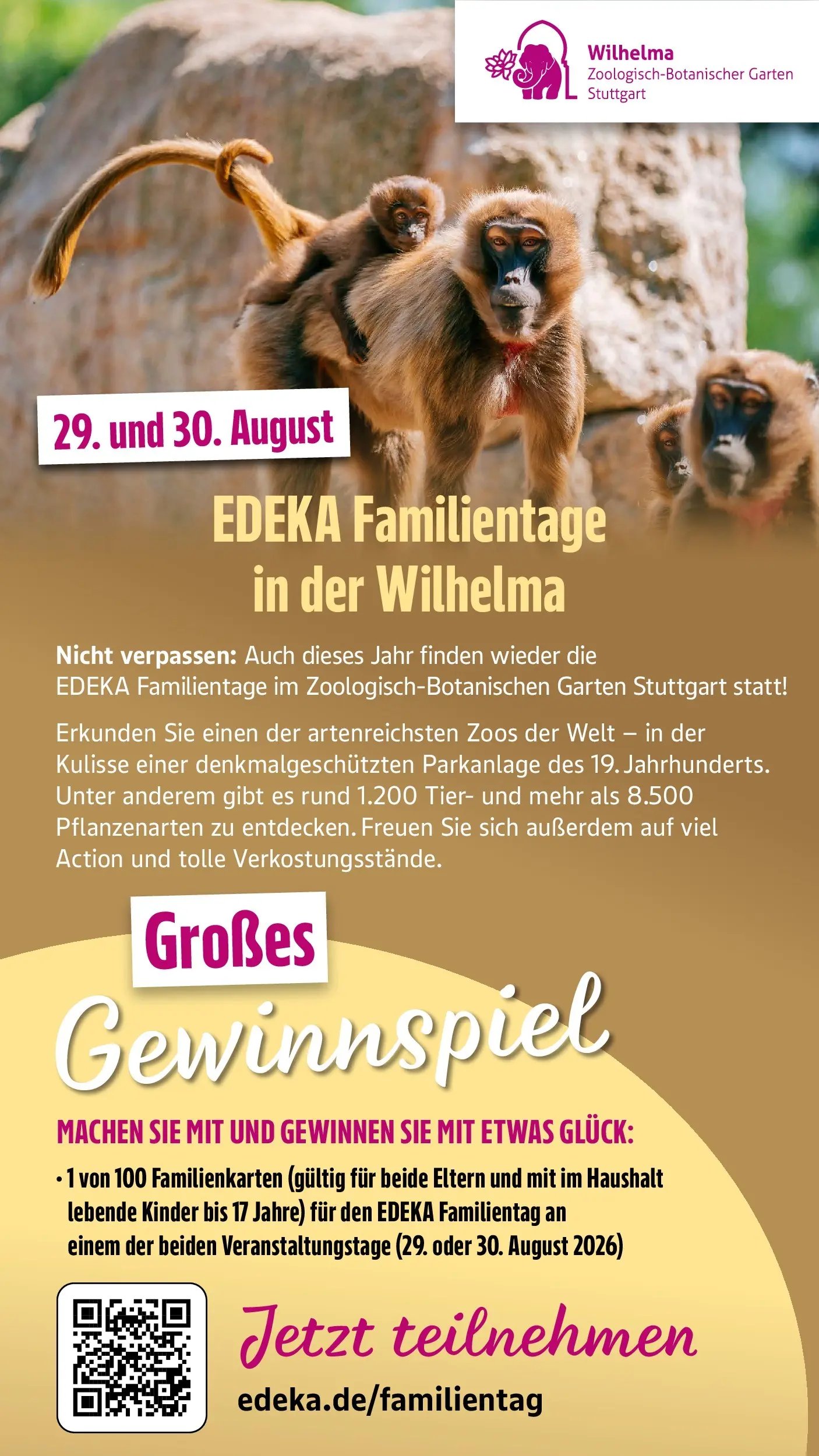 Edeka Prospekt Schorndorf