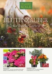 Pflanzen-Kölle Blütenzauber für Ihren Garten