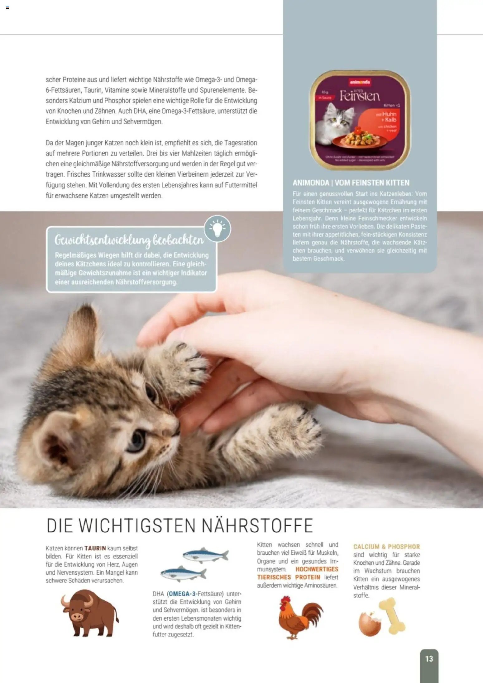 zookauf Themenkatalog Katze