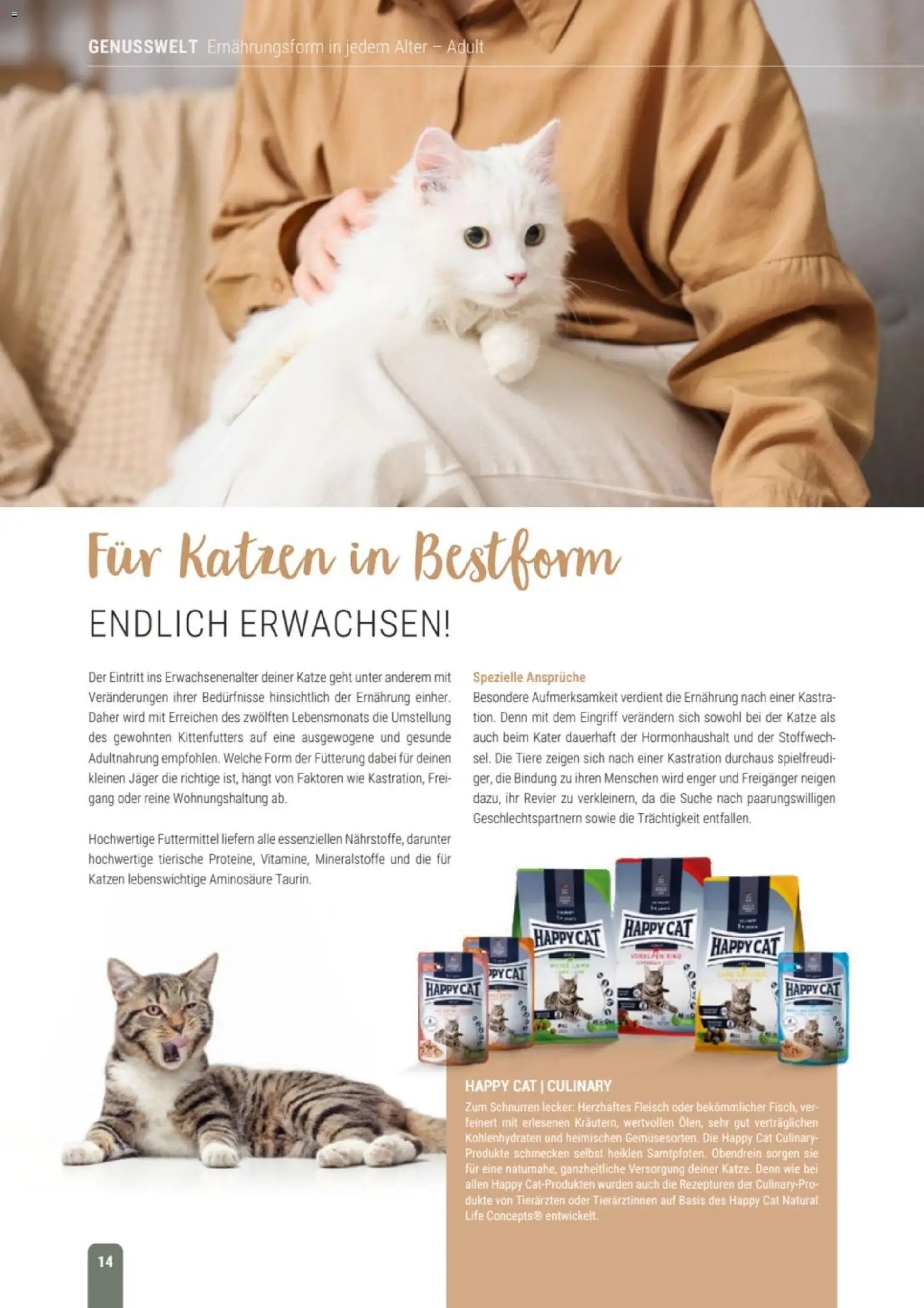 zookauf Themenkatalog Katze