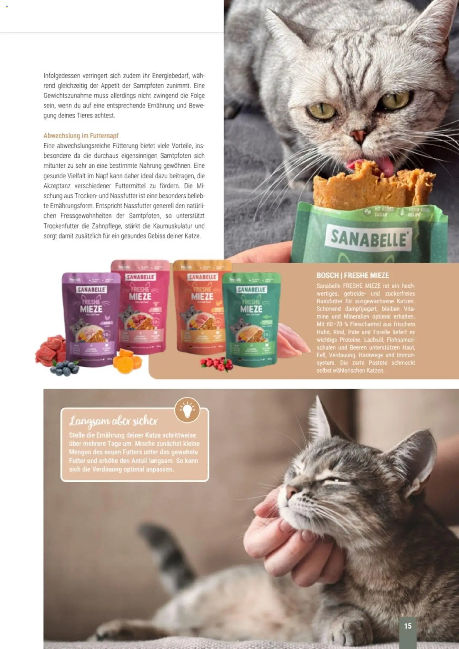 zookauf Themenkatalog Katze